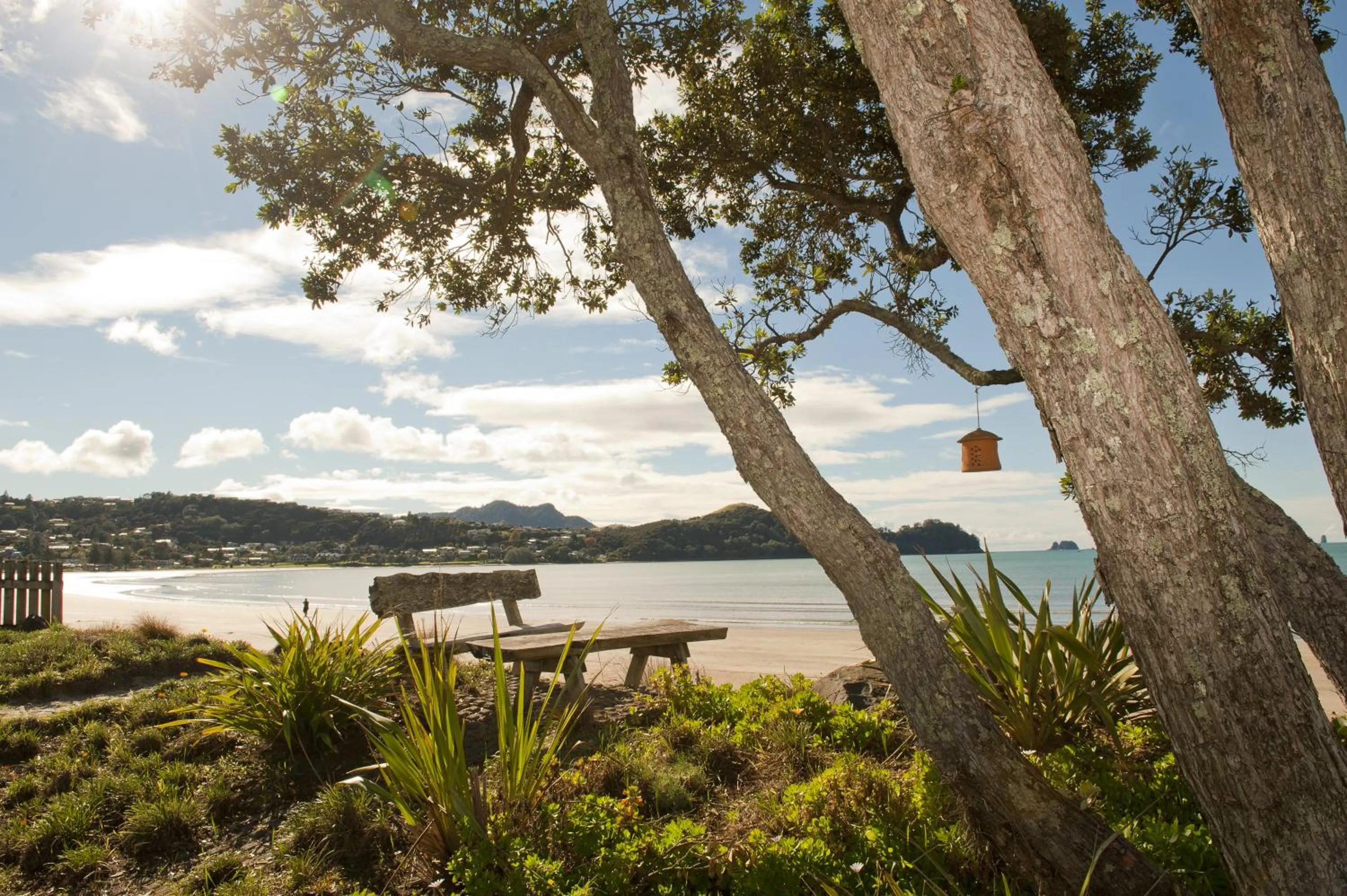 Day in Beachfront Resort