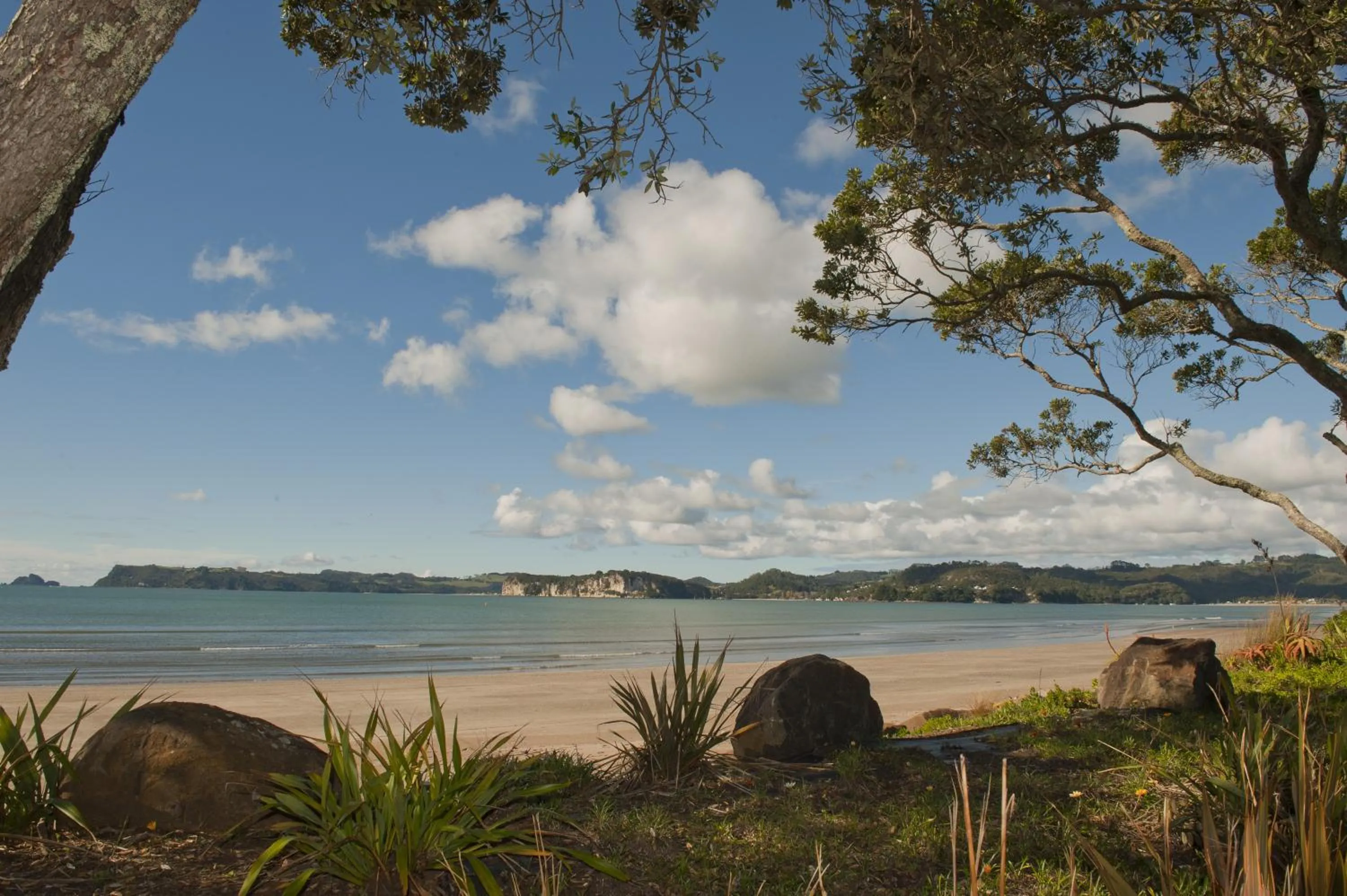 Day in Beachfront Resort