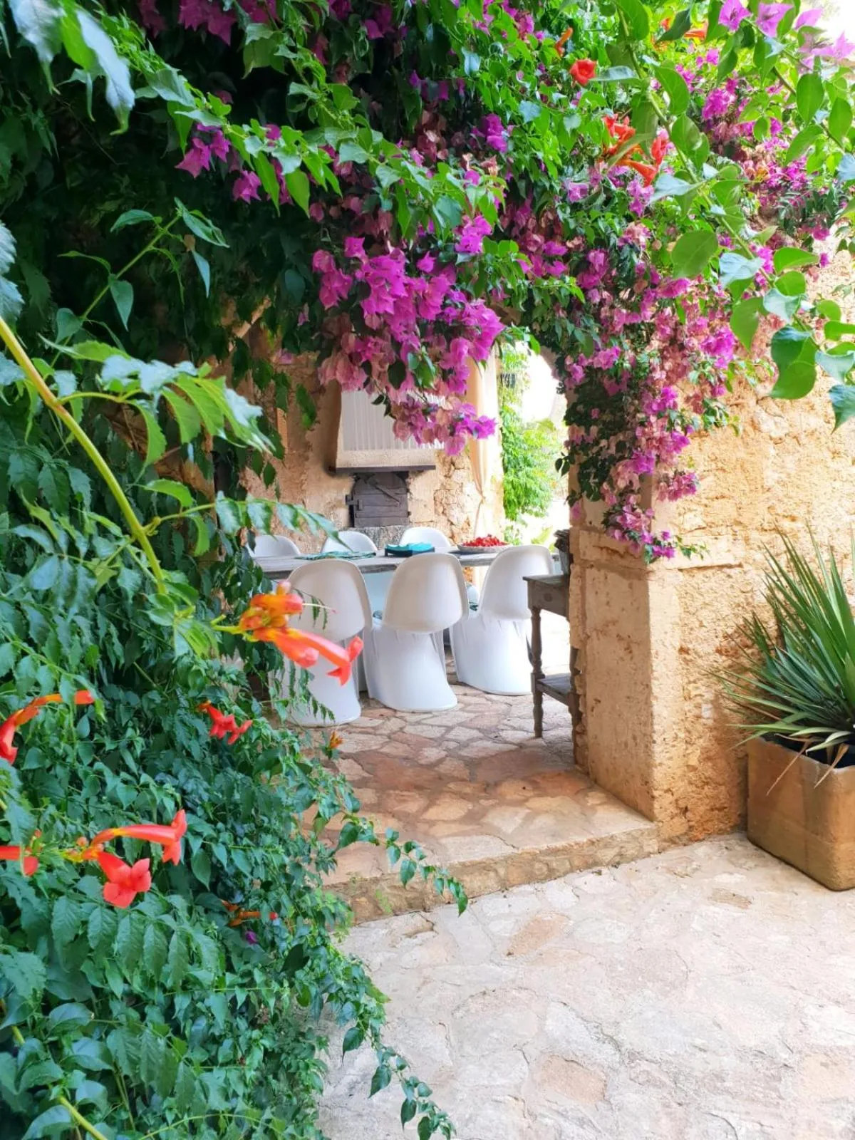 Patio in Las Fincas de Annie