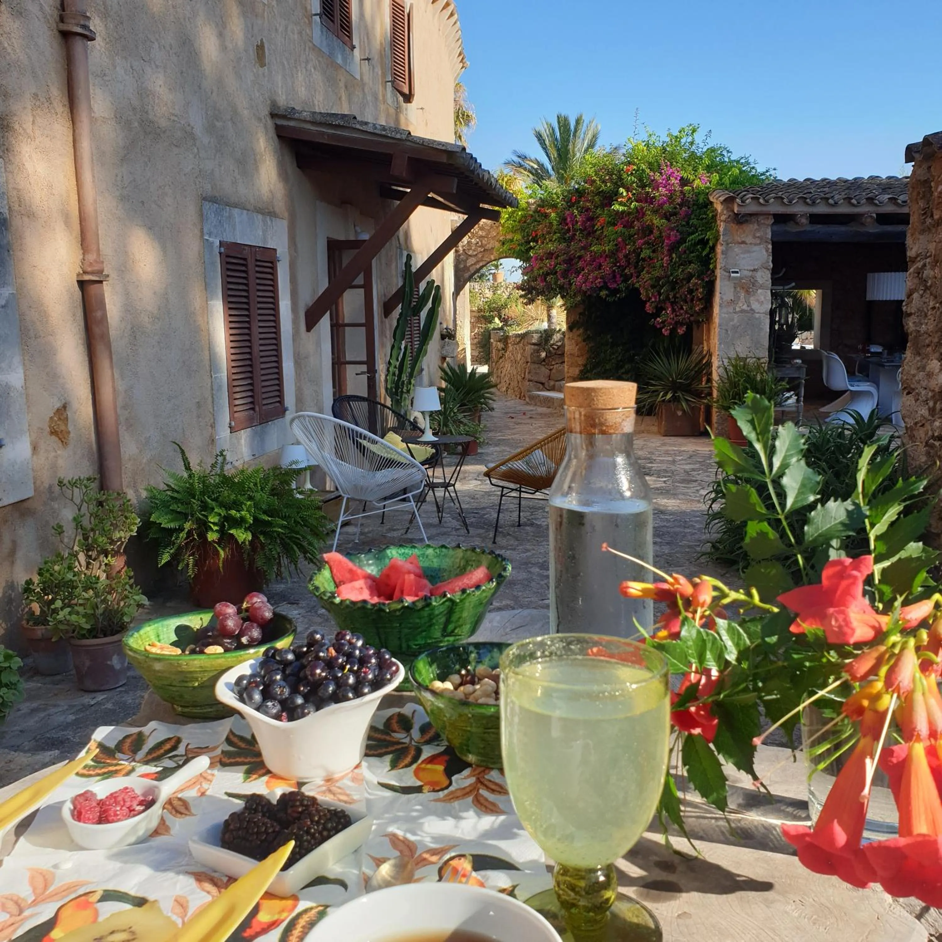 Patio in Las Fincas de Annie