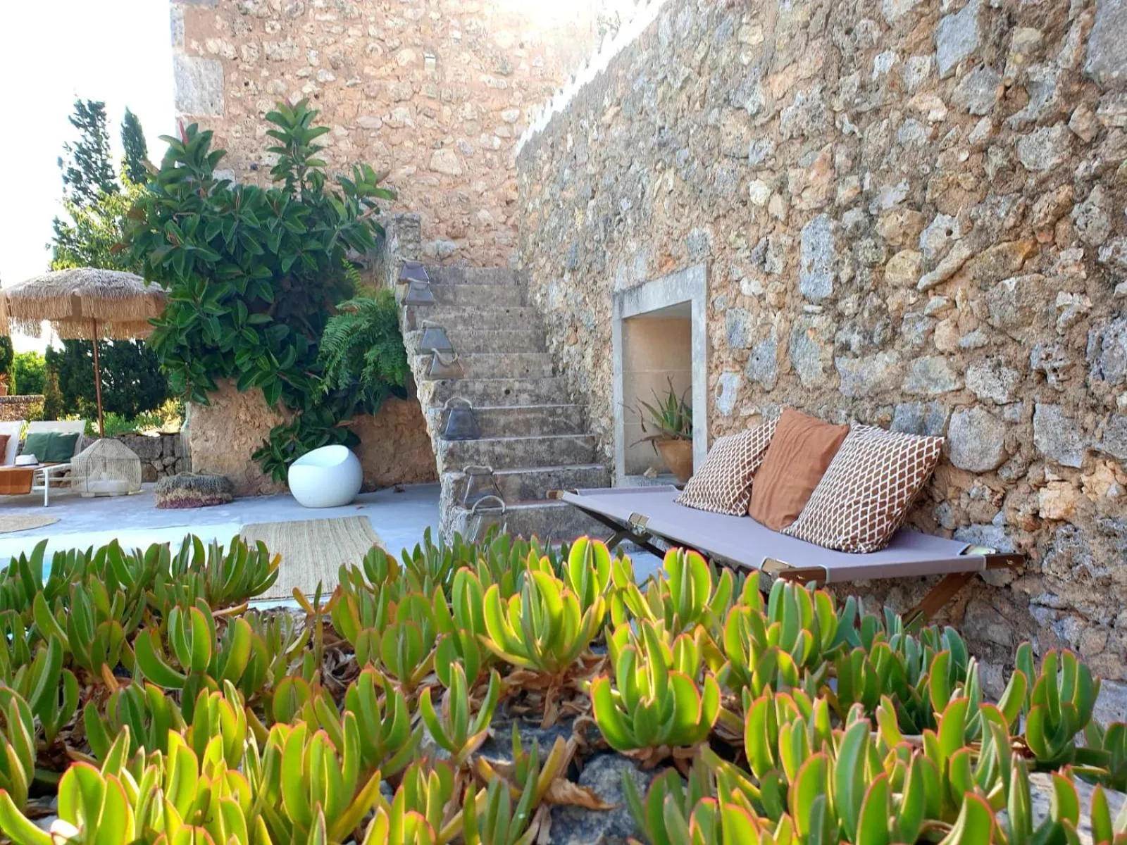 Patio in Las Fincas de Annie
