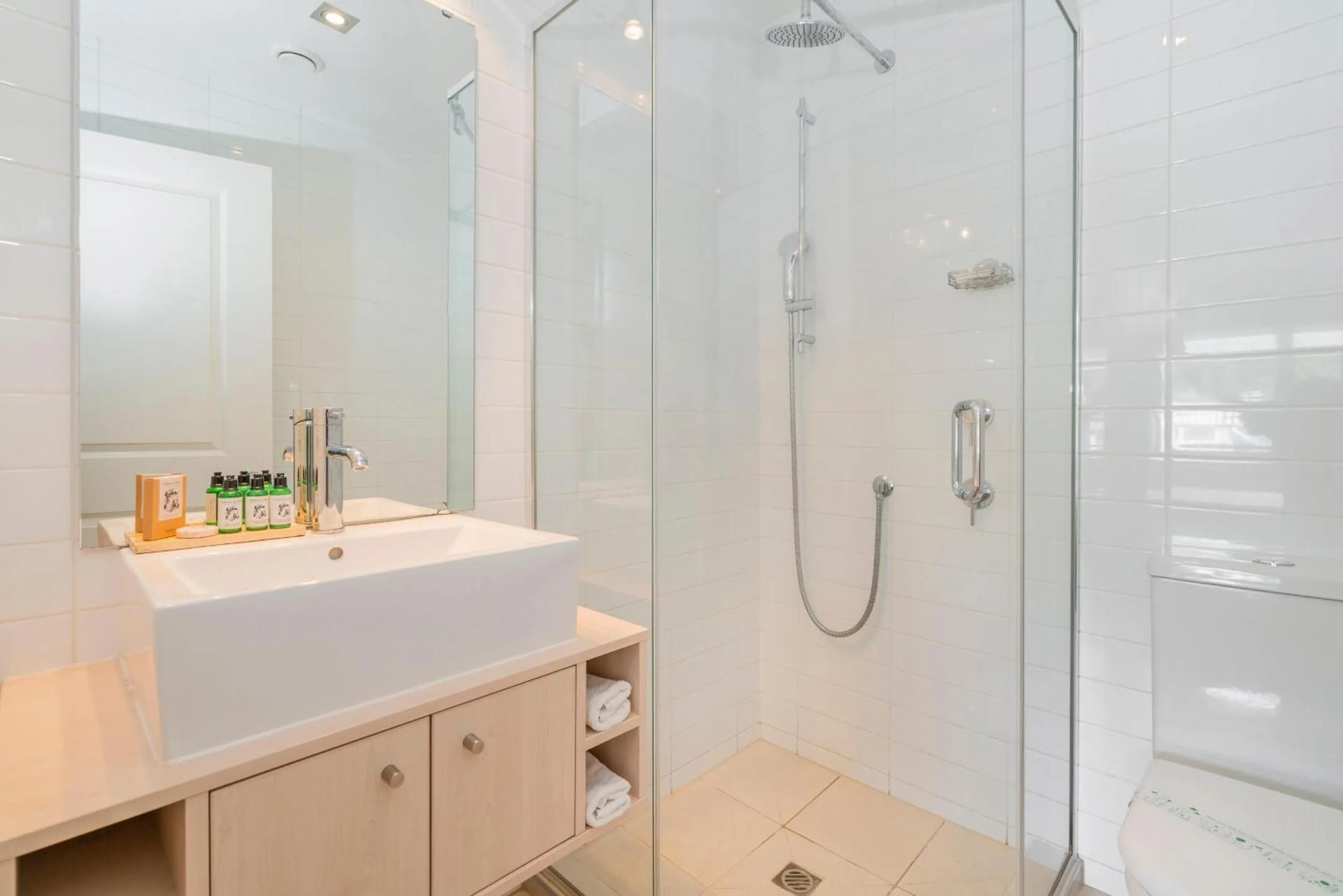 Toilet in Crow's Nest Apartments