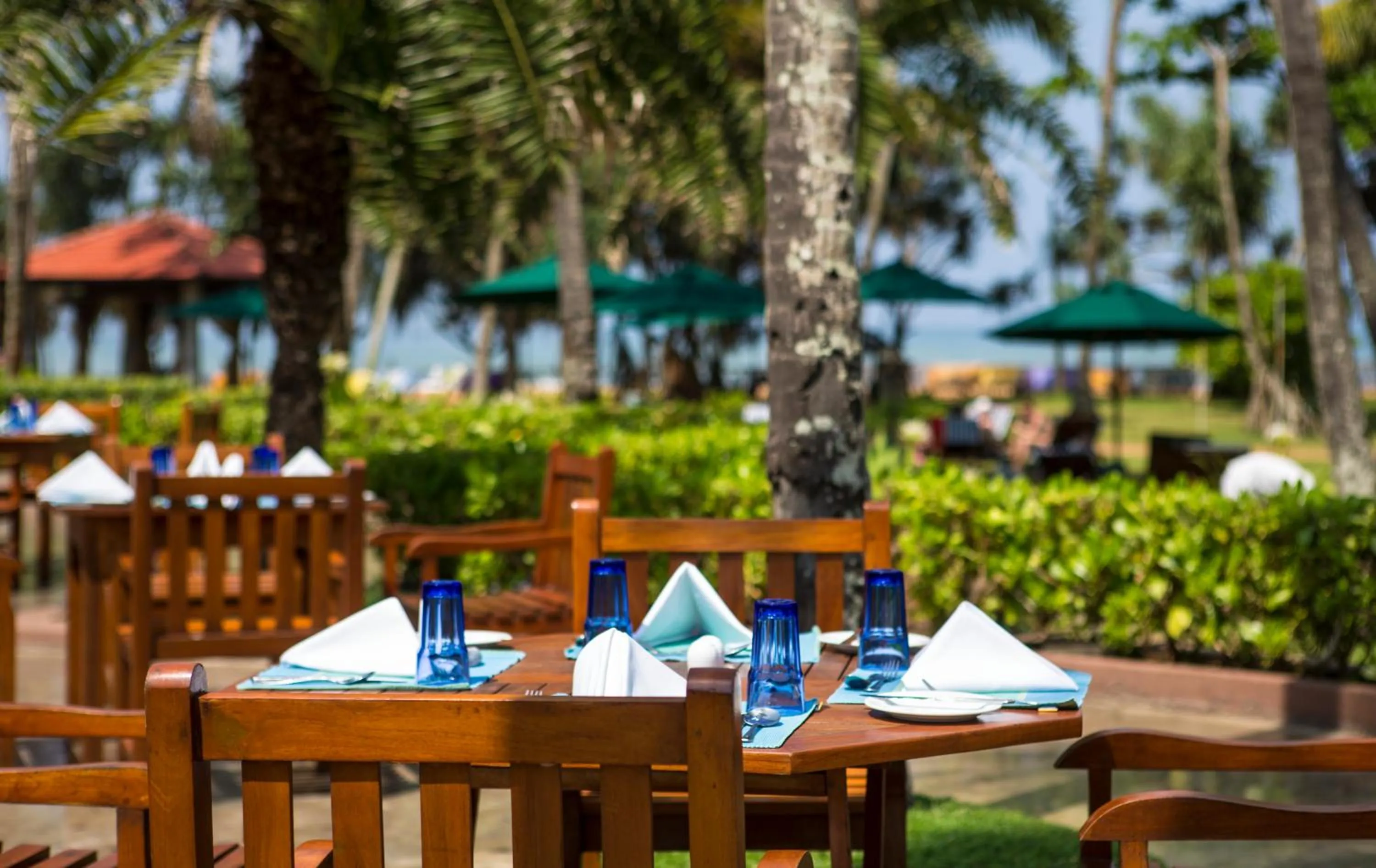 Restaurant/places to eat in Royal Palms Beach Hotel