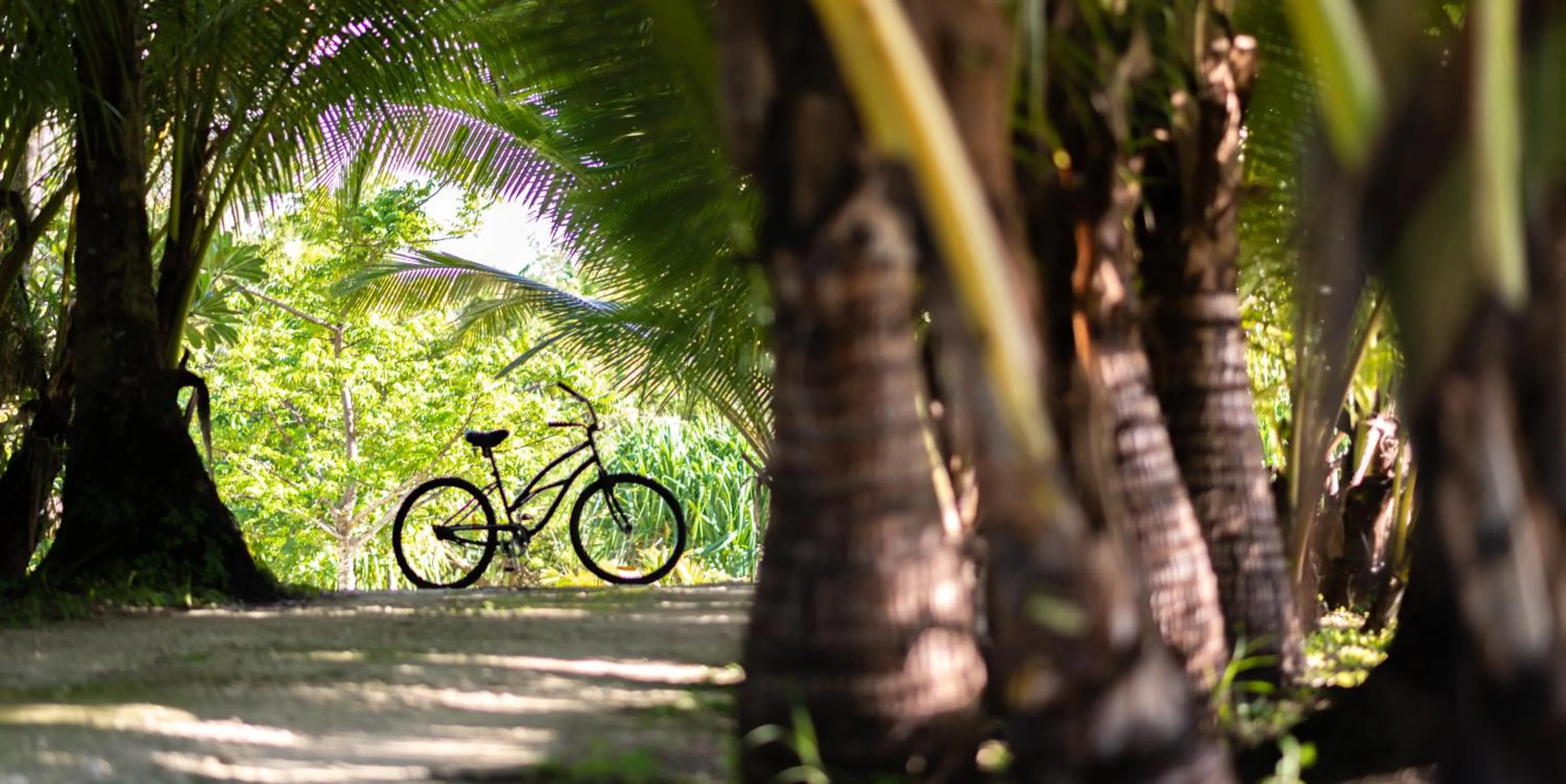 Cycling in Ratua Private Island Resort