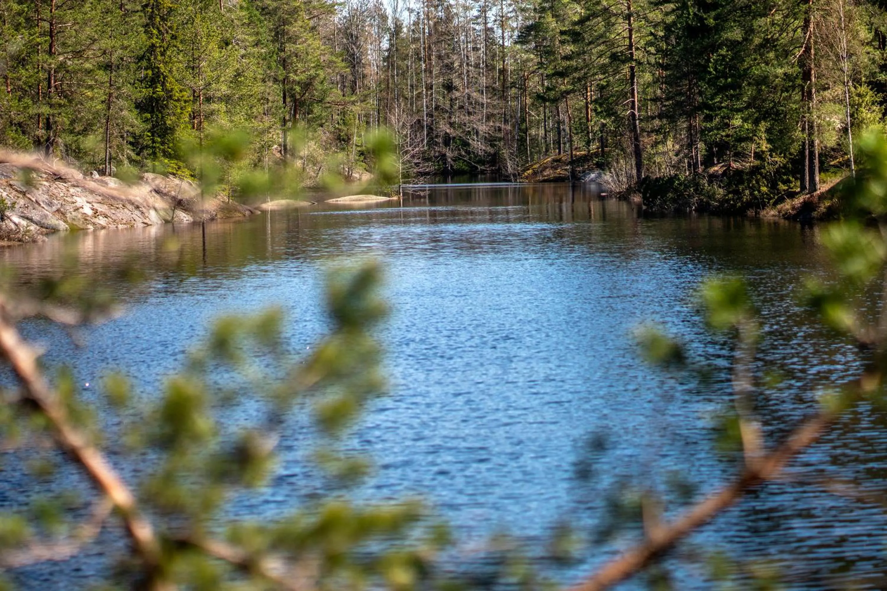 Natural landscape in Hotel Korpilampi