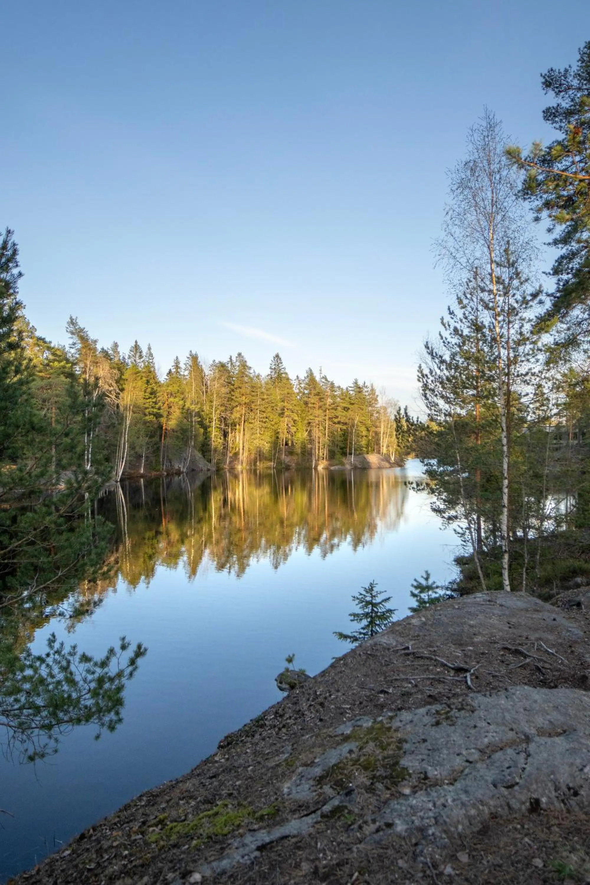 Natural landscape in Hotel Korpilampi