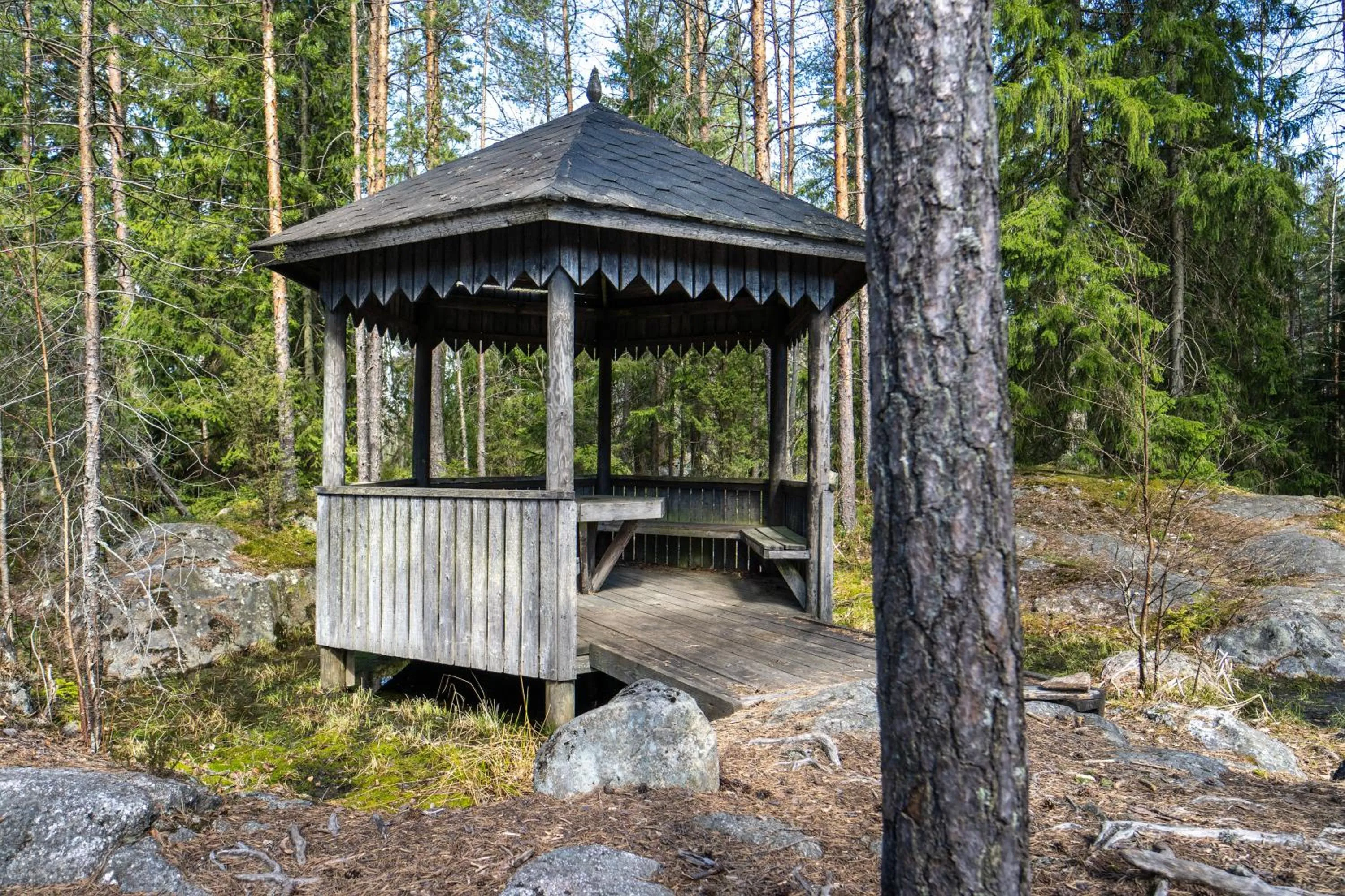 Natural landscape in Hotel Korpilampi