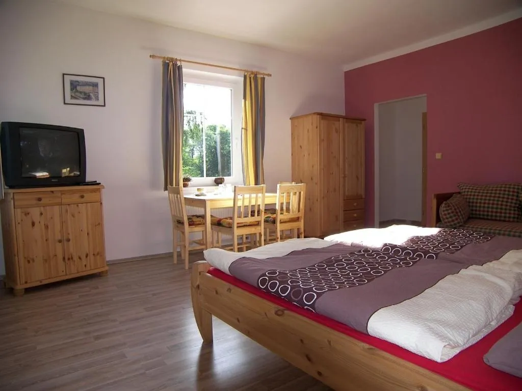 Double Room - single occupancy in Penzion Polarka