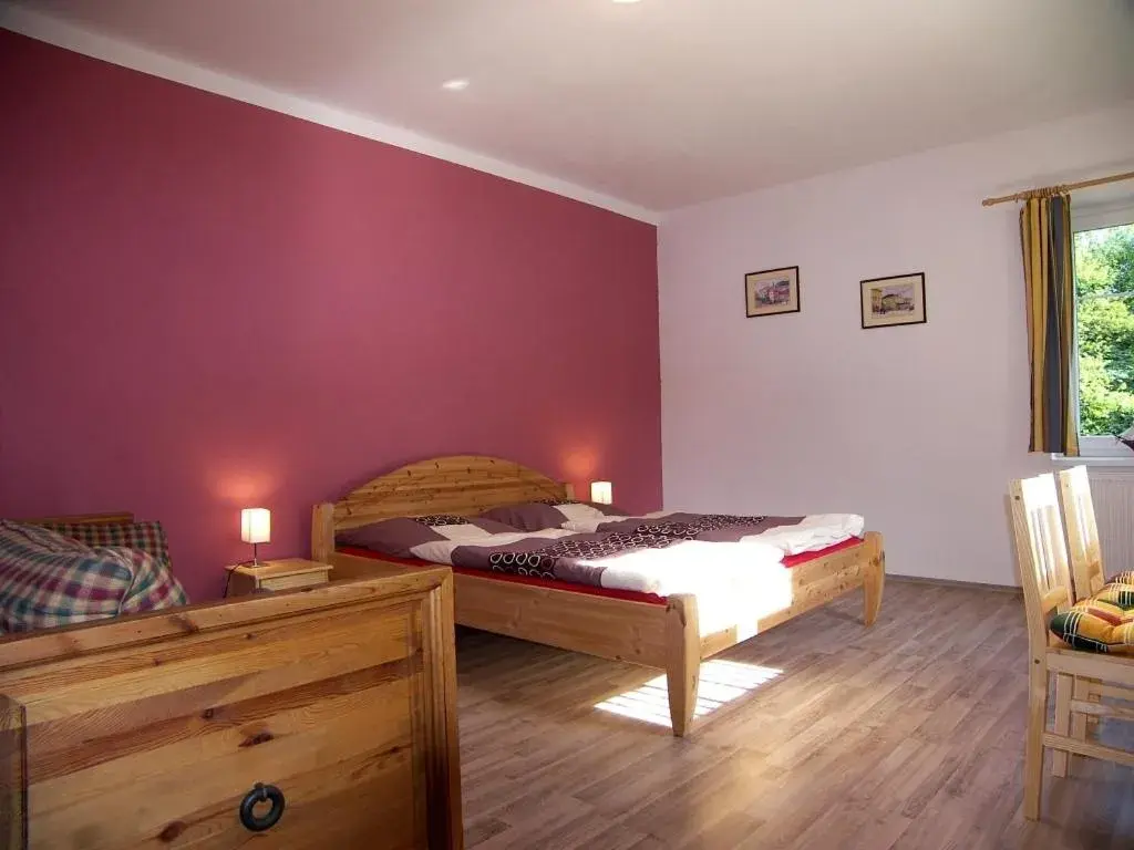 Double Room - single occupancy in Penzion Polarka Double Room - single occupancy in Penzion Polarka