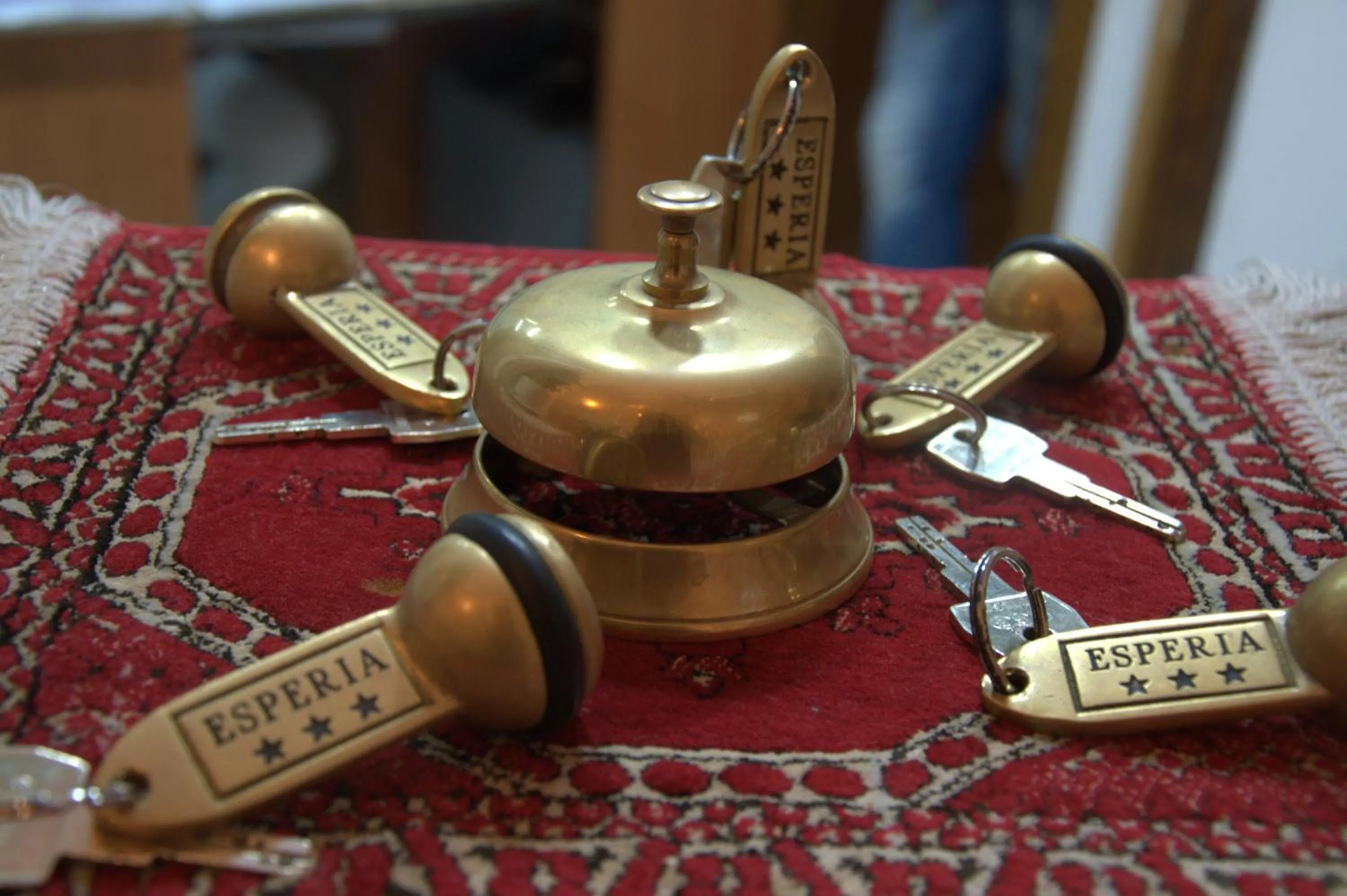 Property logo or sign in Hotel Esperia