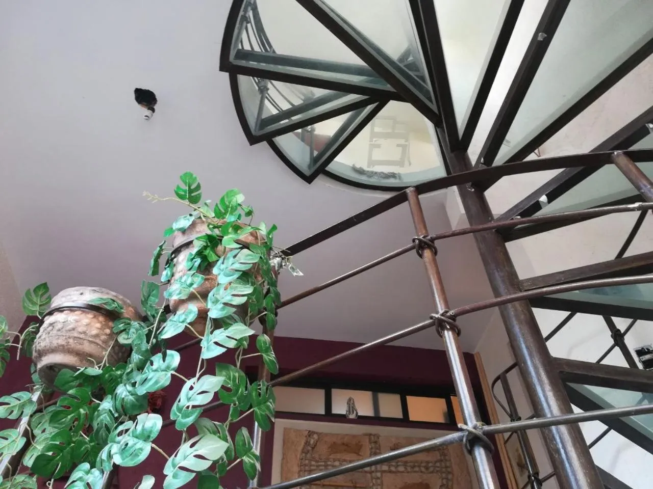 Calle Berlin Boutique