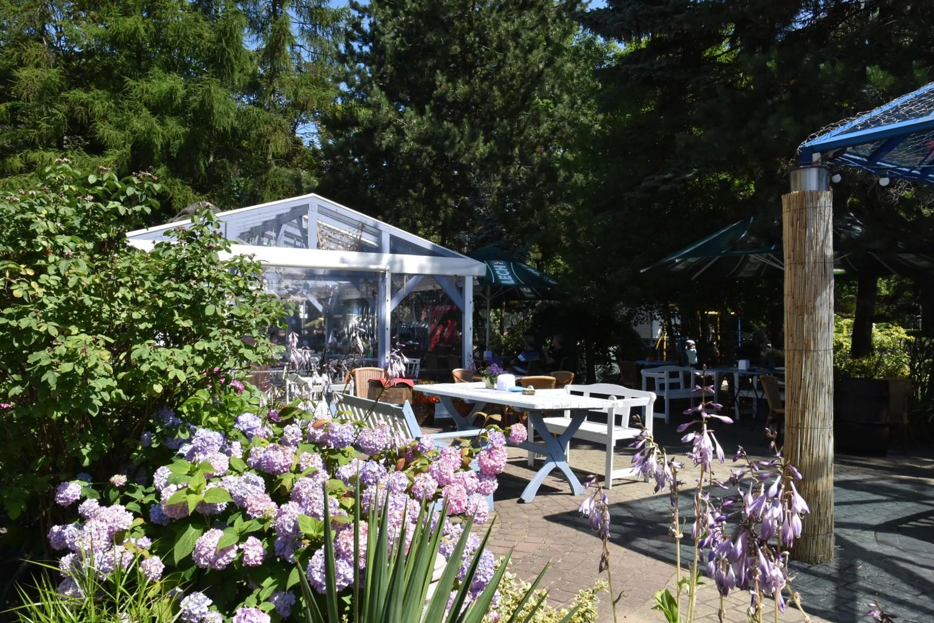 Restaurant/places to eat in SeaPark Hotel Wellness & Spa