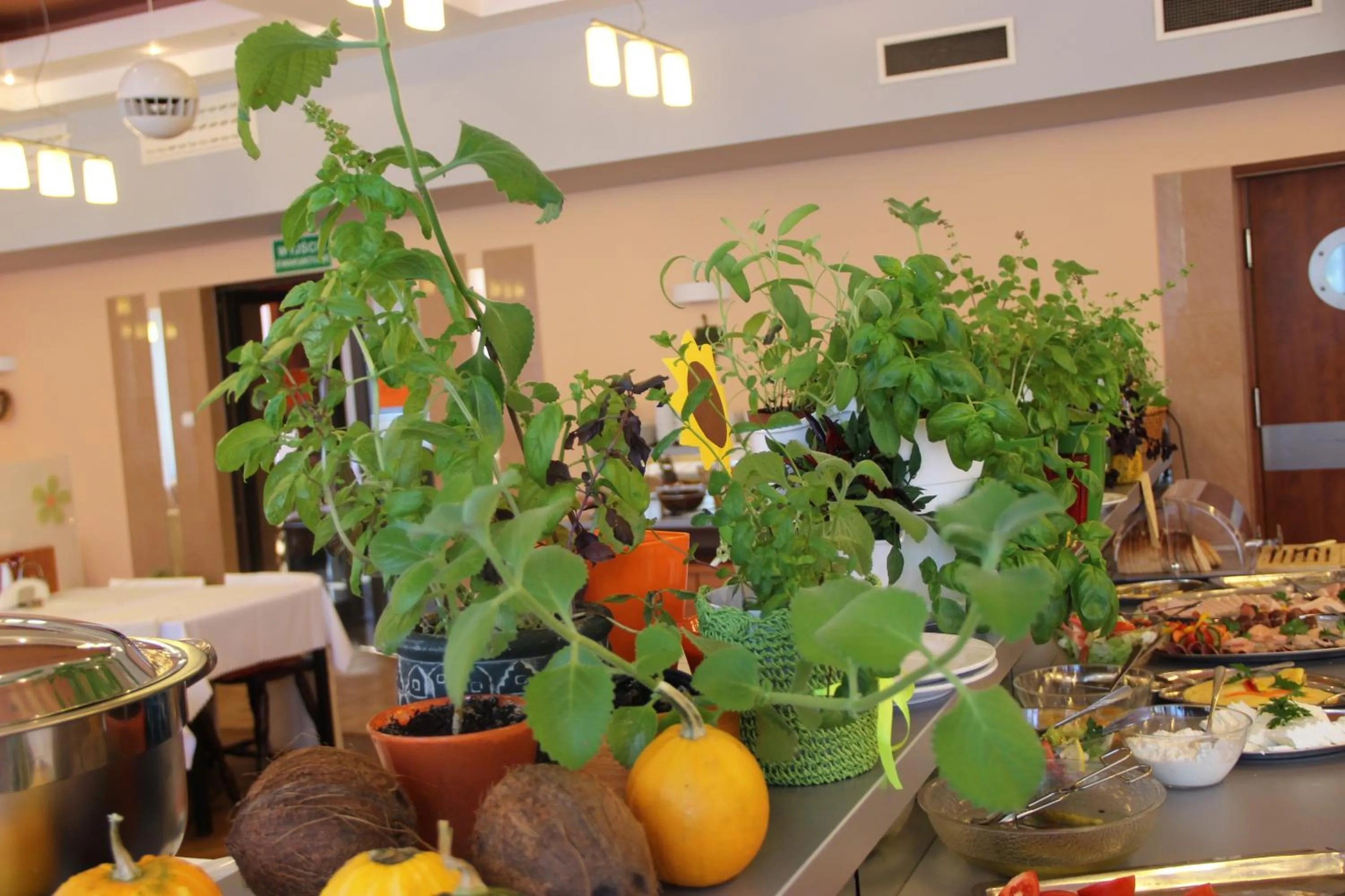 Restaurant/places to eat in SeaPark Hotel Wellness & Spa