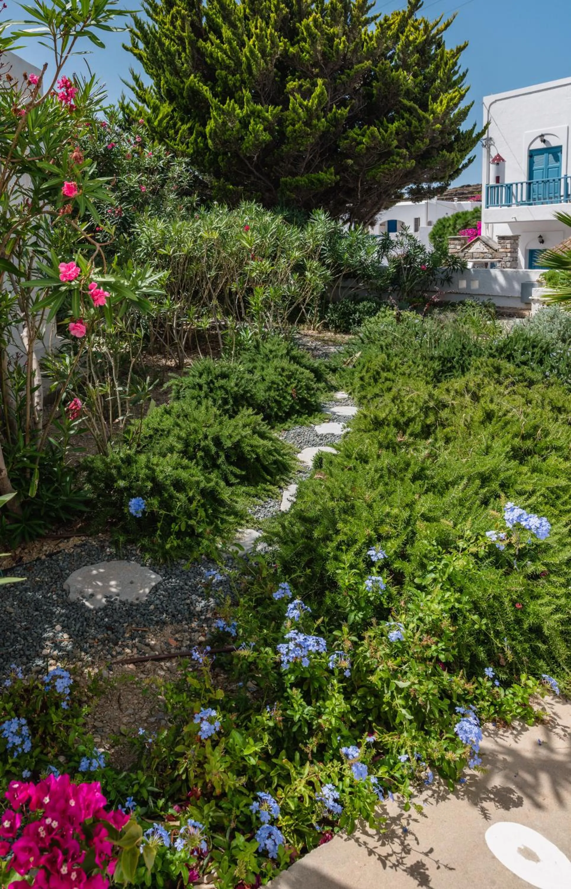 Garden in Vigla Hotel