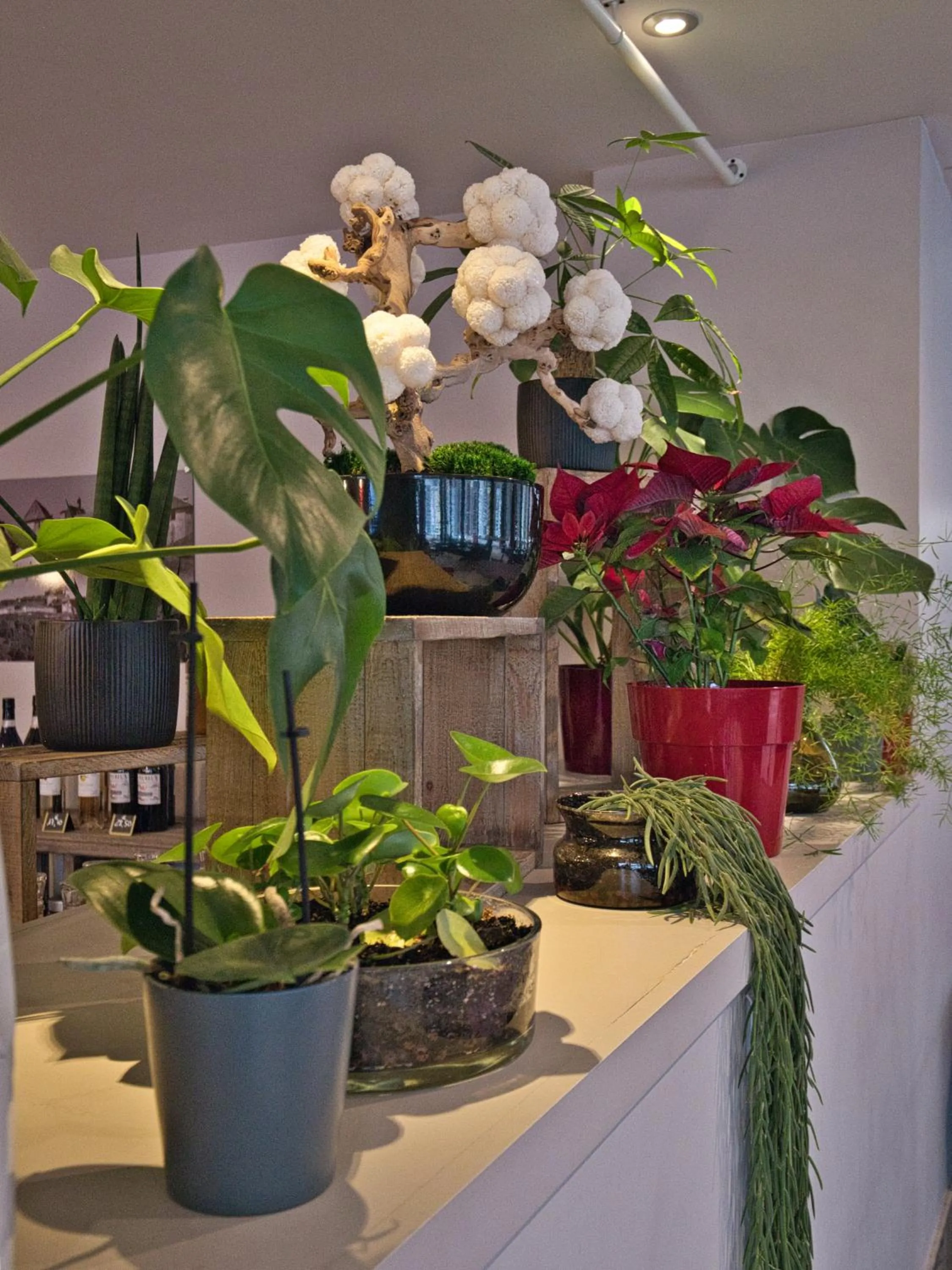 Decorative detail in La Table de Gustave