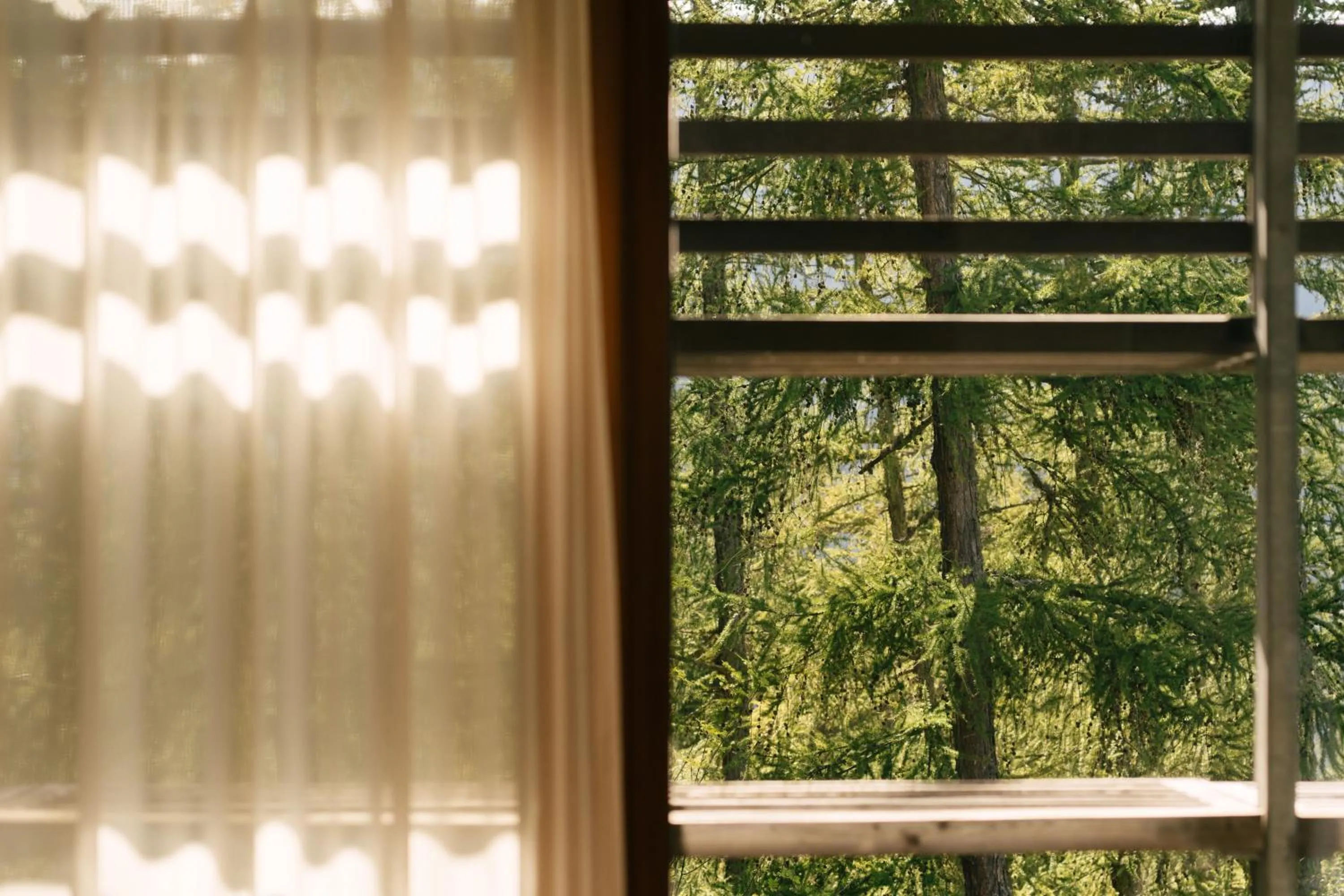 View (from property/room) in Vigilius Mountain Resort