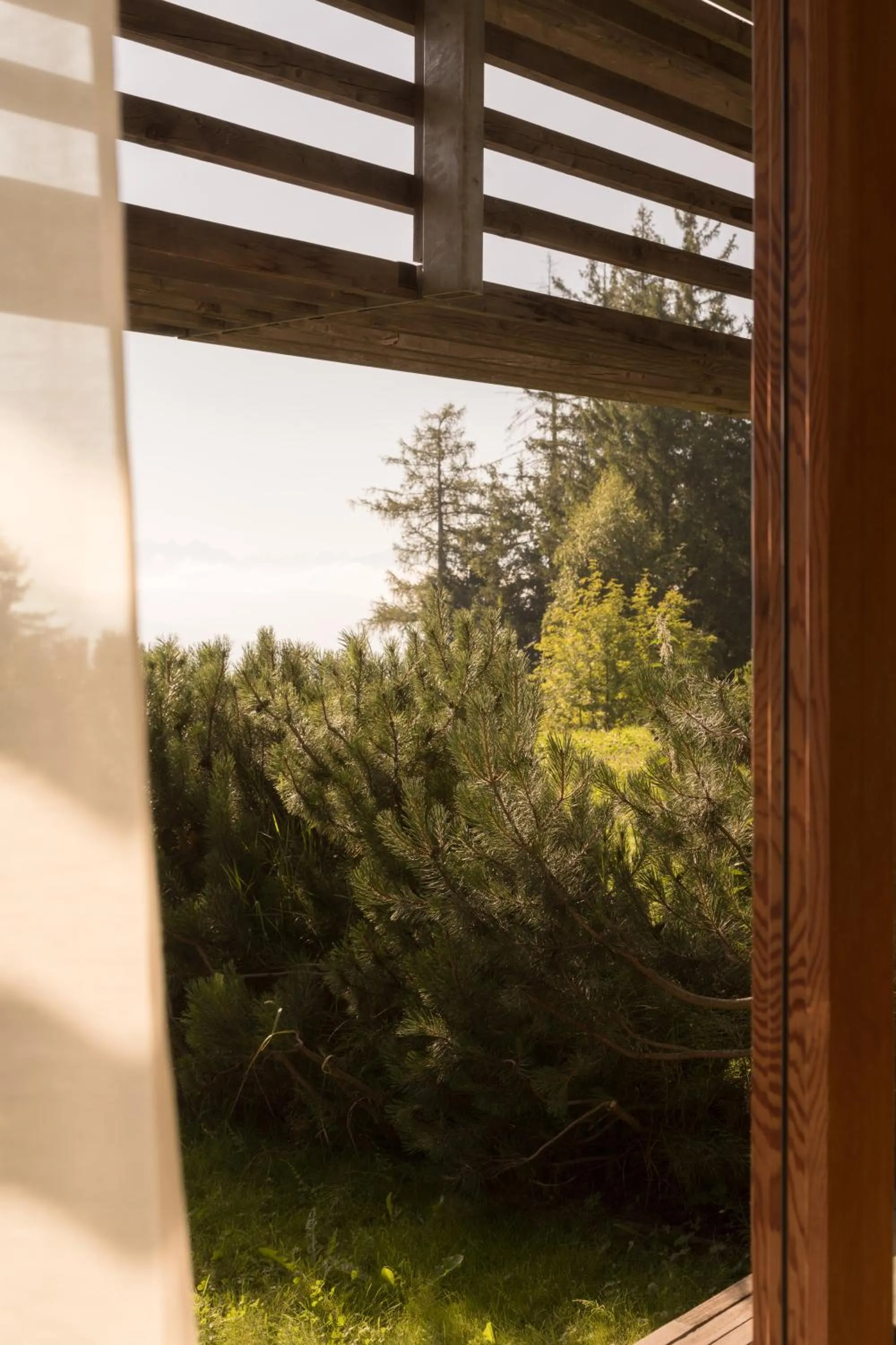 View (from property/room) in Vigilius Mountain Resort