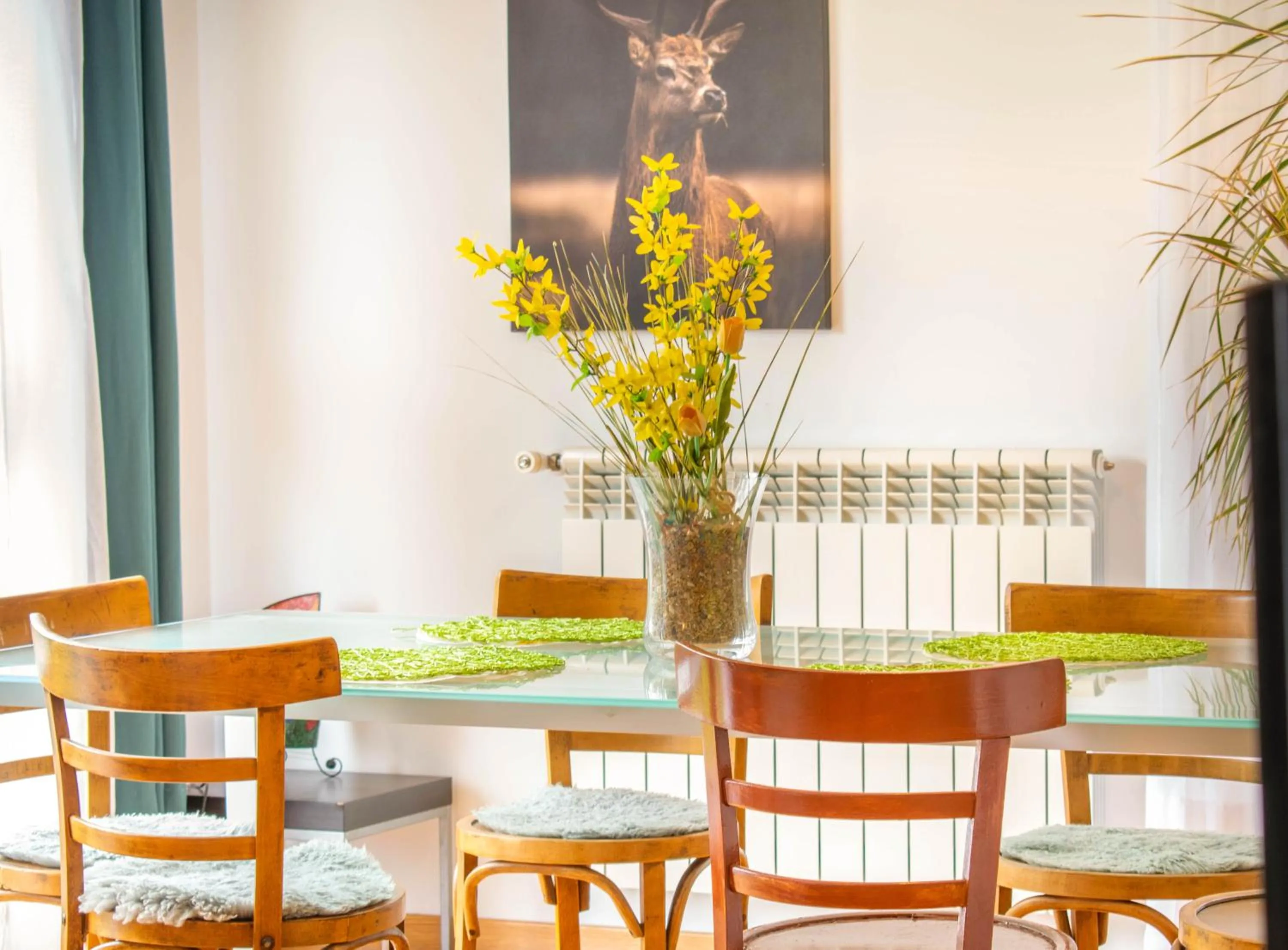 Living room in Casa Ferran, amplias habitaciones y apartamentos de montaña