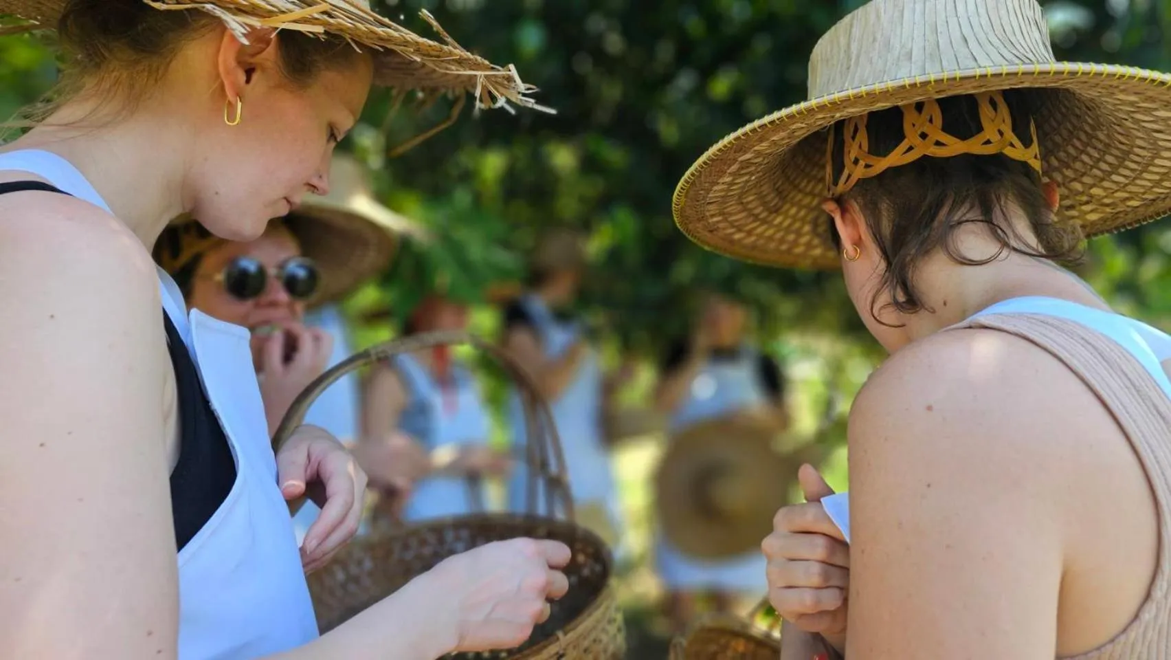 Activities in Phuket Nonnita Boutique Resort - SHA Plus