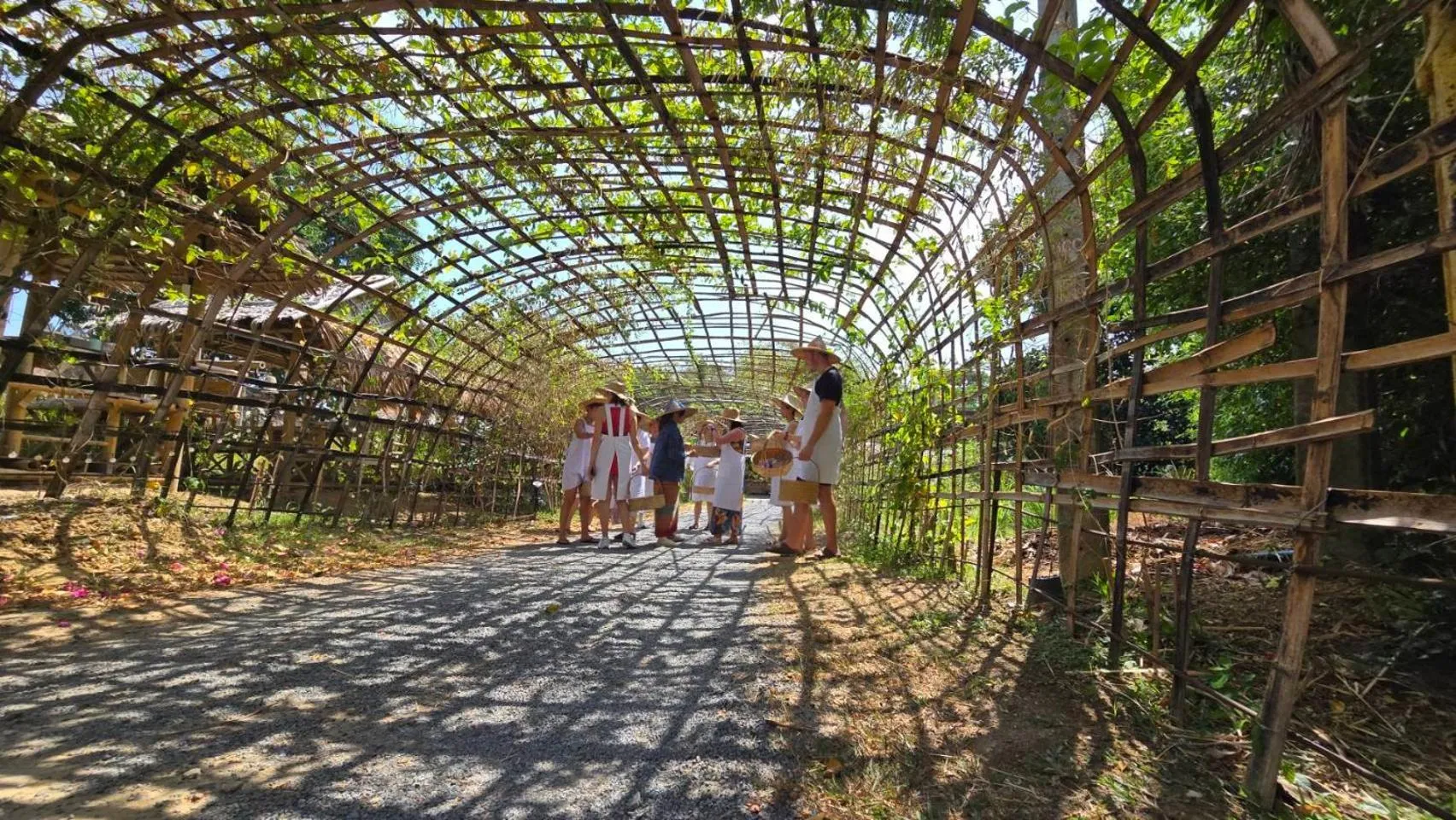 Activities in Phuket Nonnita Boutique Resort - SHA Plus