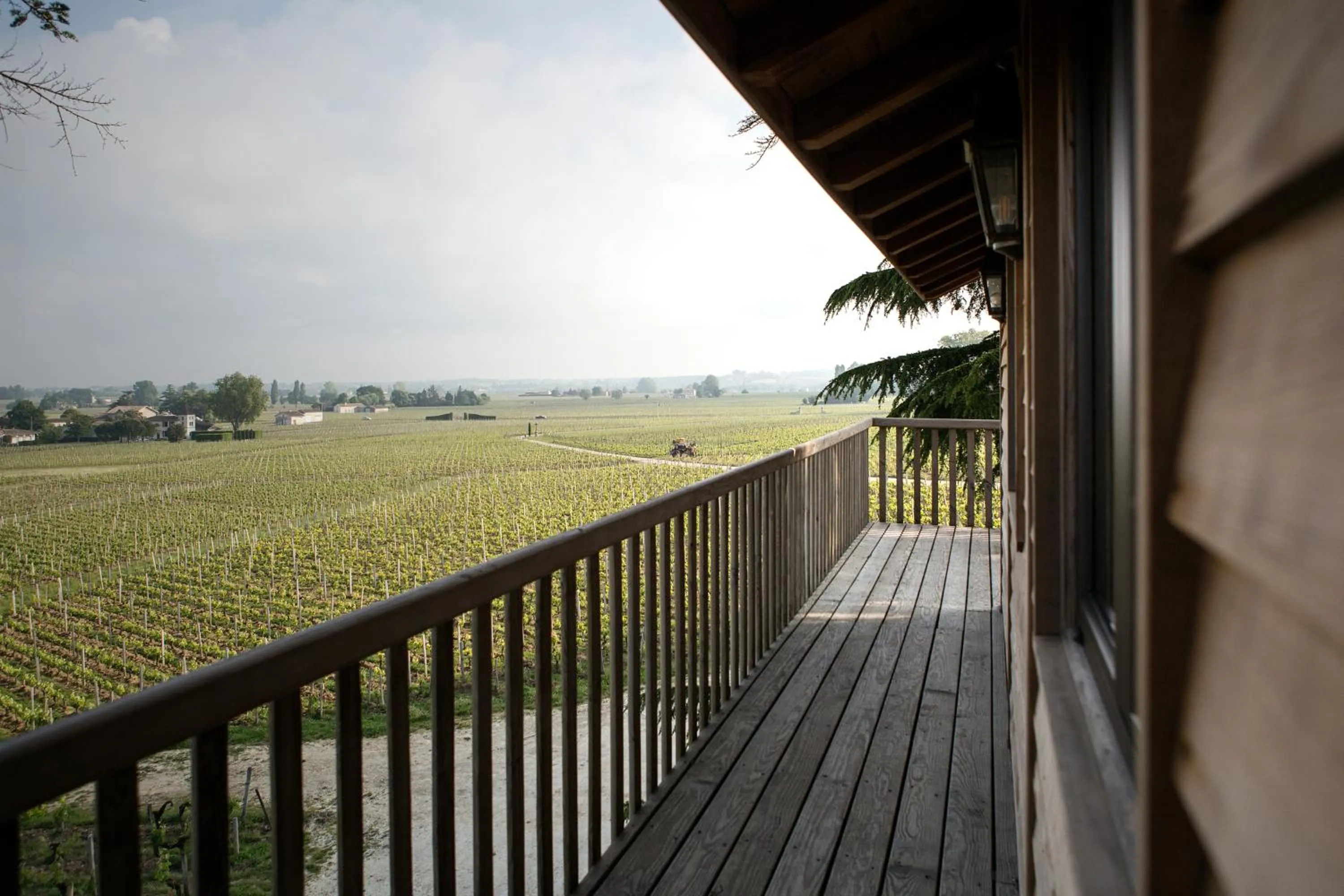 Balcony/Terrace in Le Relais de Franc Mayne Saint Emilion
