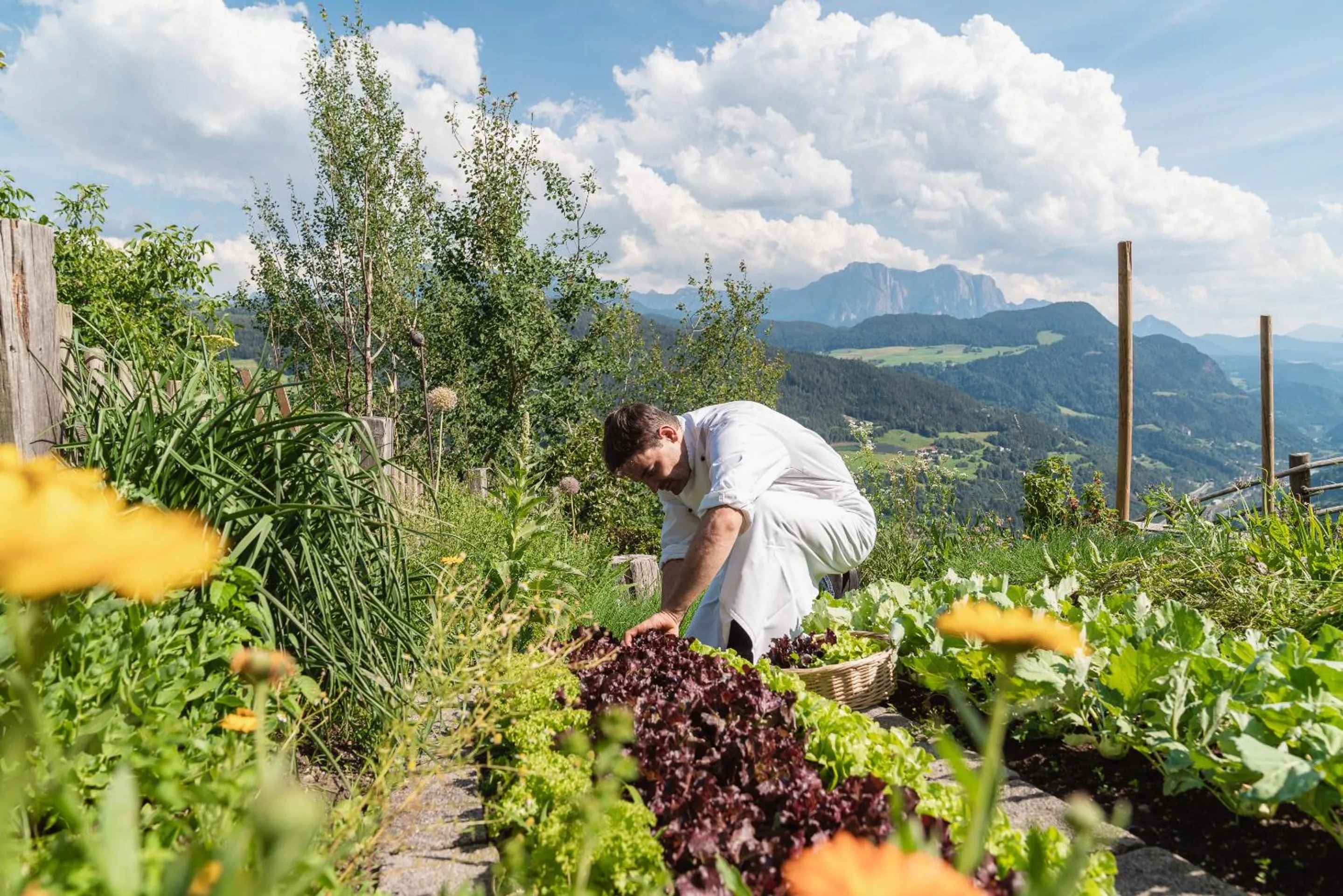 Restaurant/places to eat in Berglandhotel Untertheimerhof