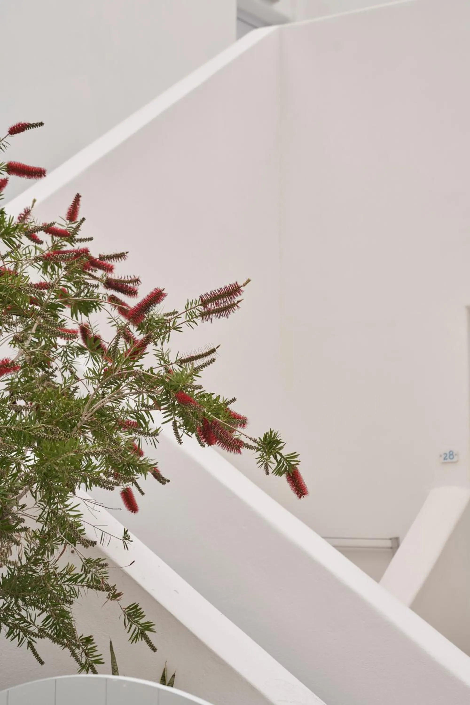 Balcony/Terrace in Makris Beach Hotel