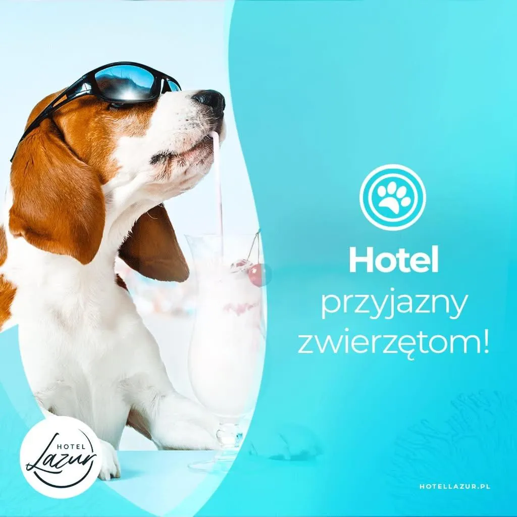 Pets in Lazur Apartamenty