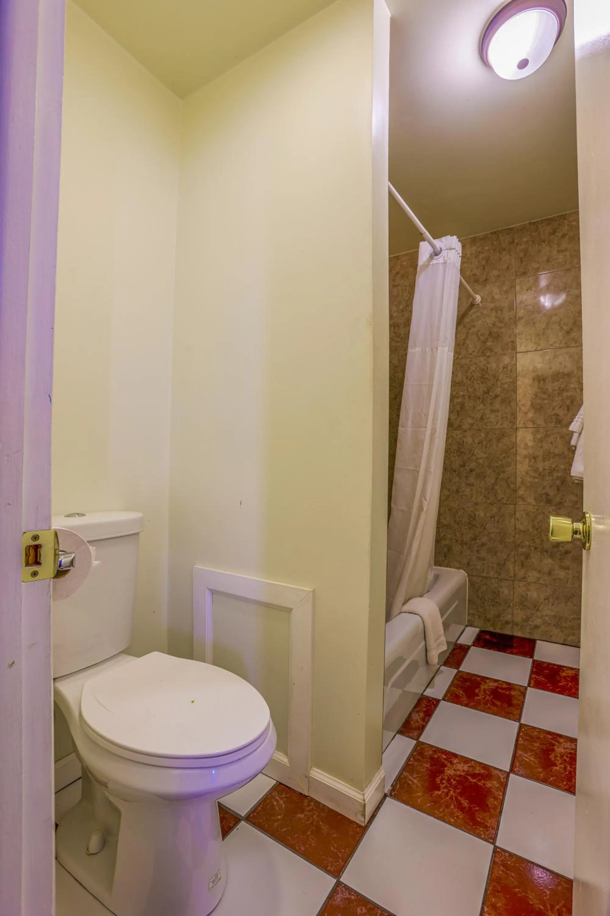 Bathroom in Dutch Motel Palmyra