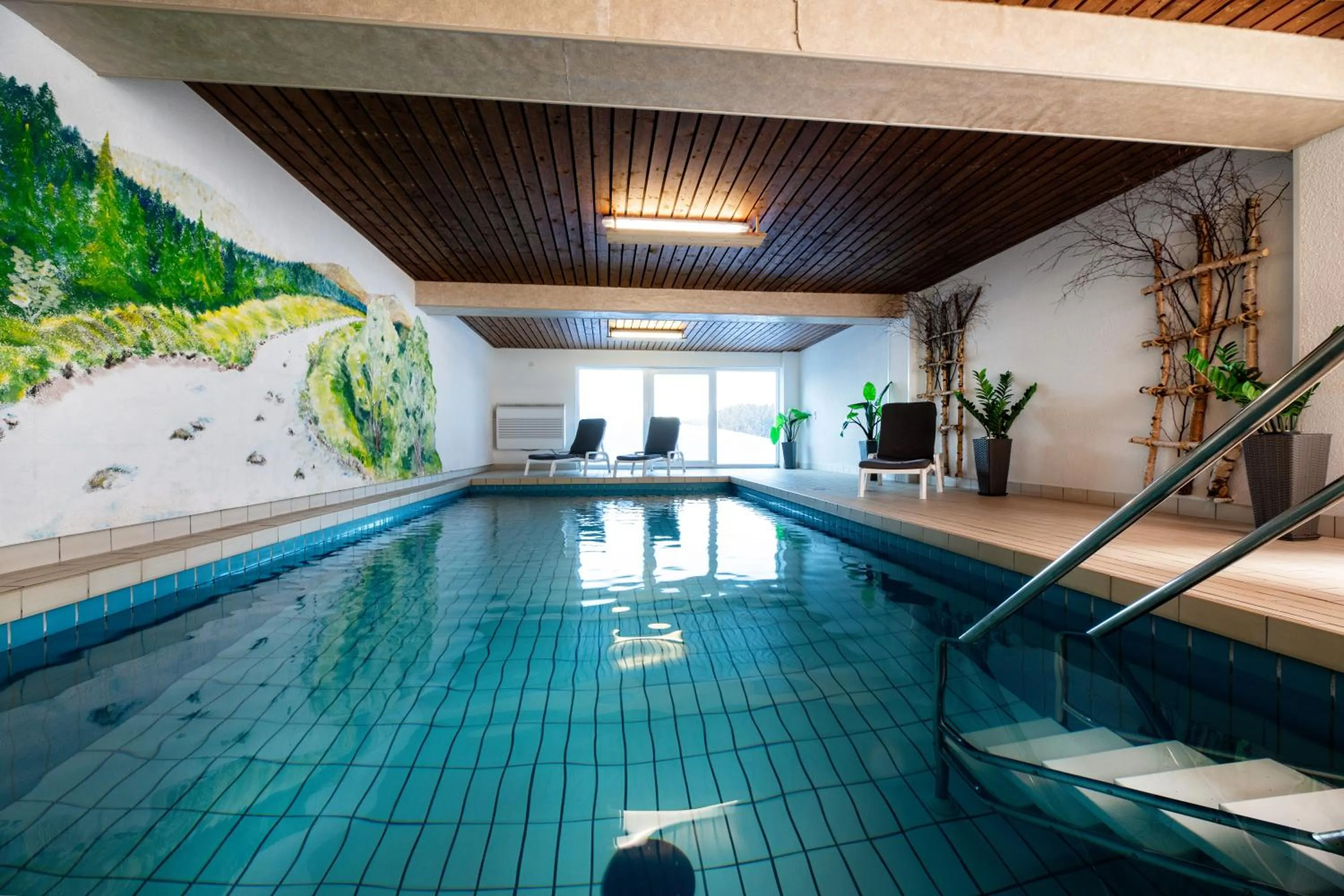 Swimming pool in ThälerHäusle