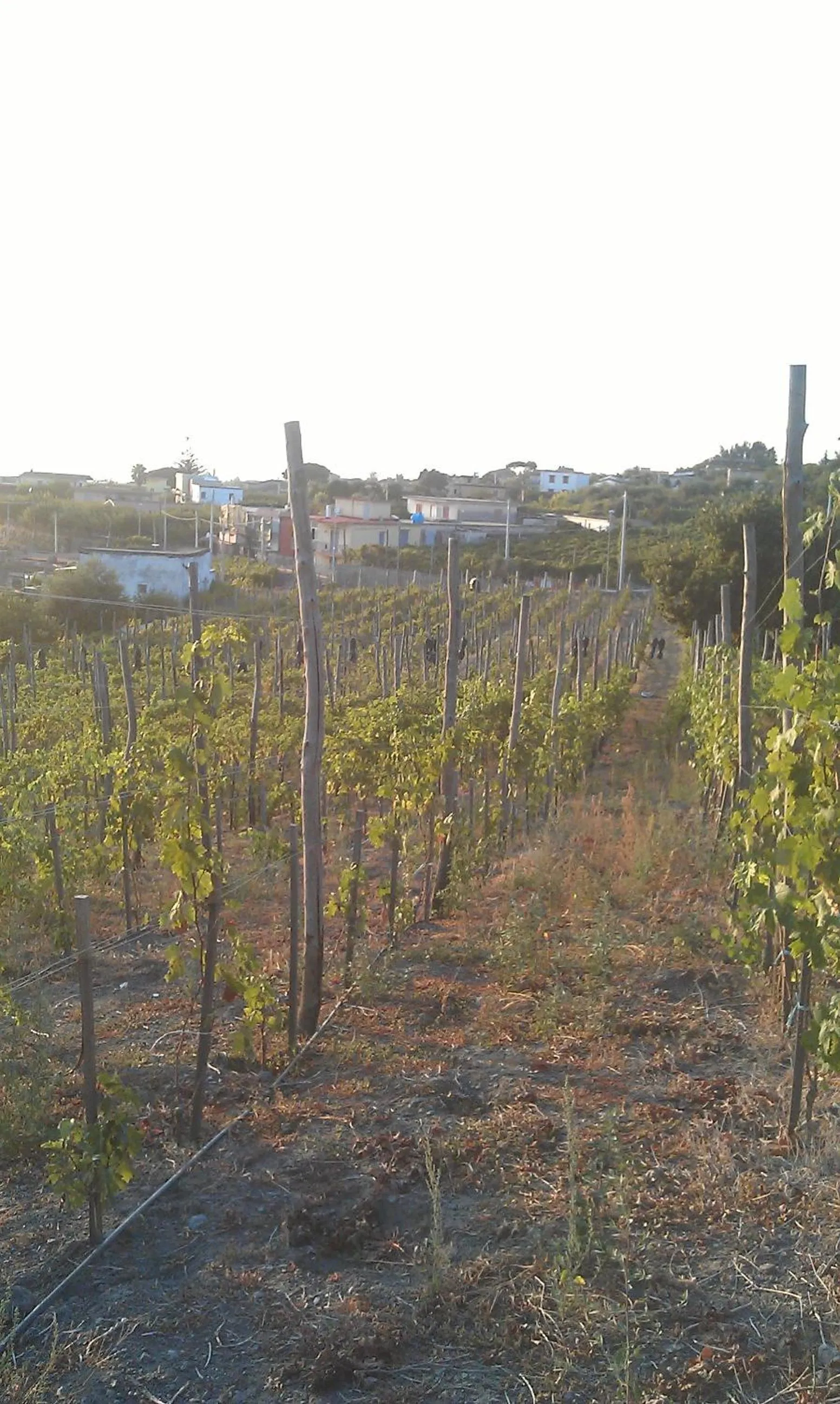 Spring in Bed & Breakfast Fuocomuorto