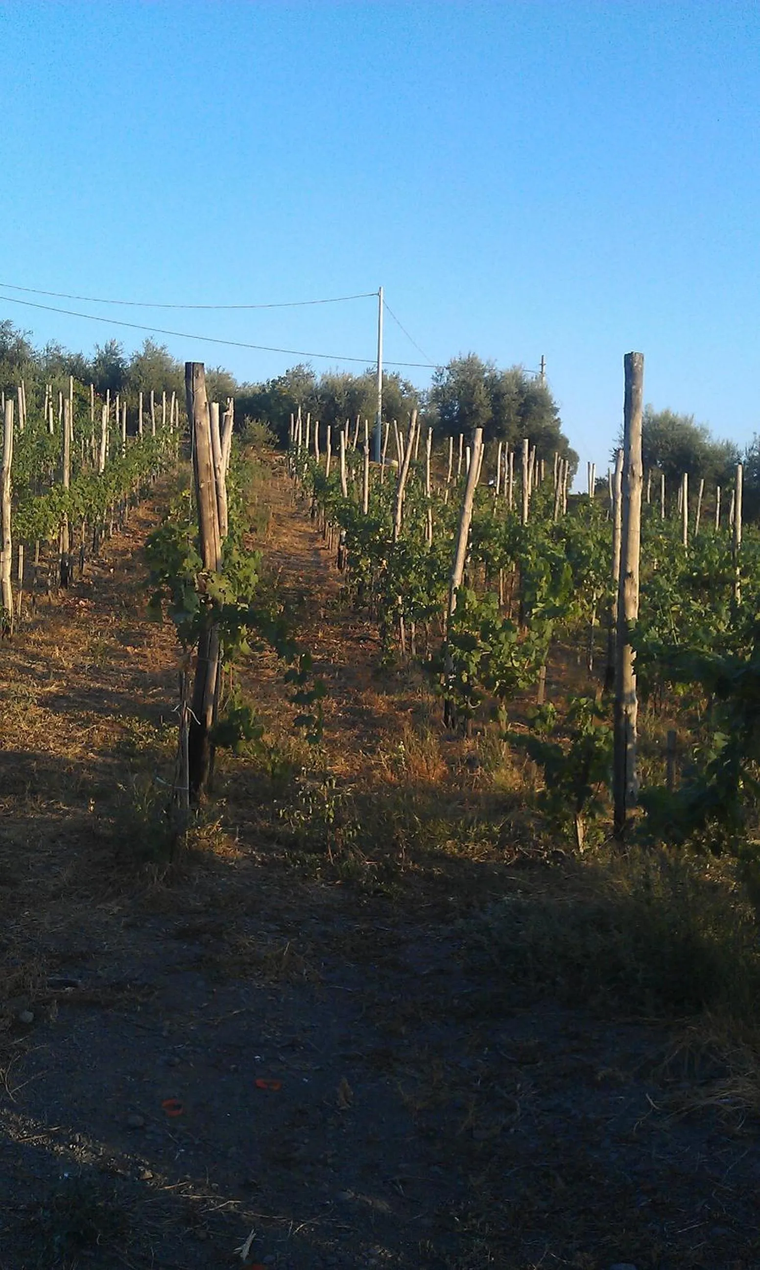 Natural landscape in Bed & Breakfast Fuocomuorto