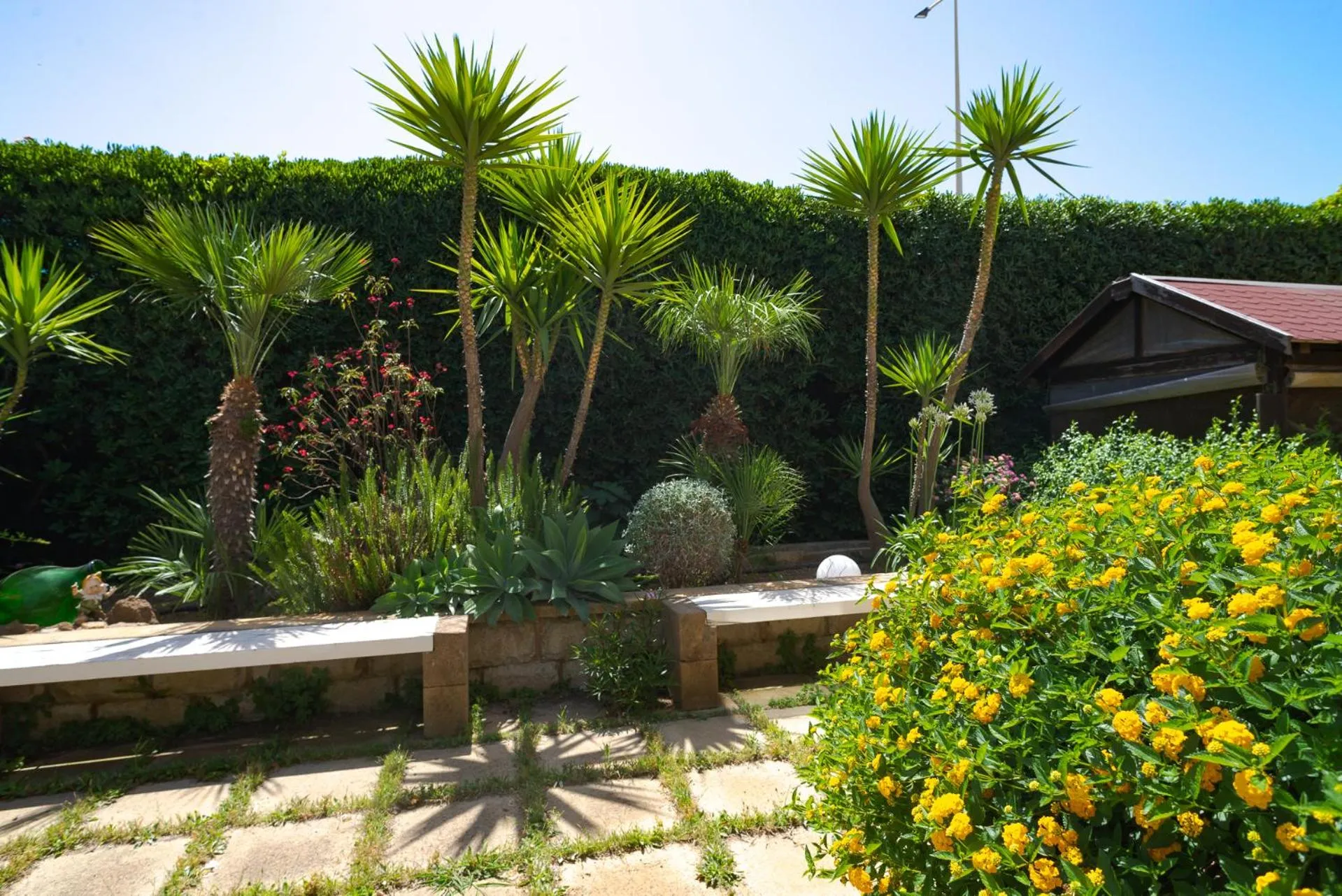 Garden in Hotel Jonio