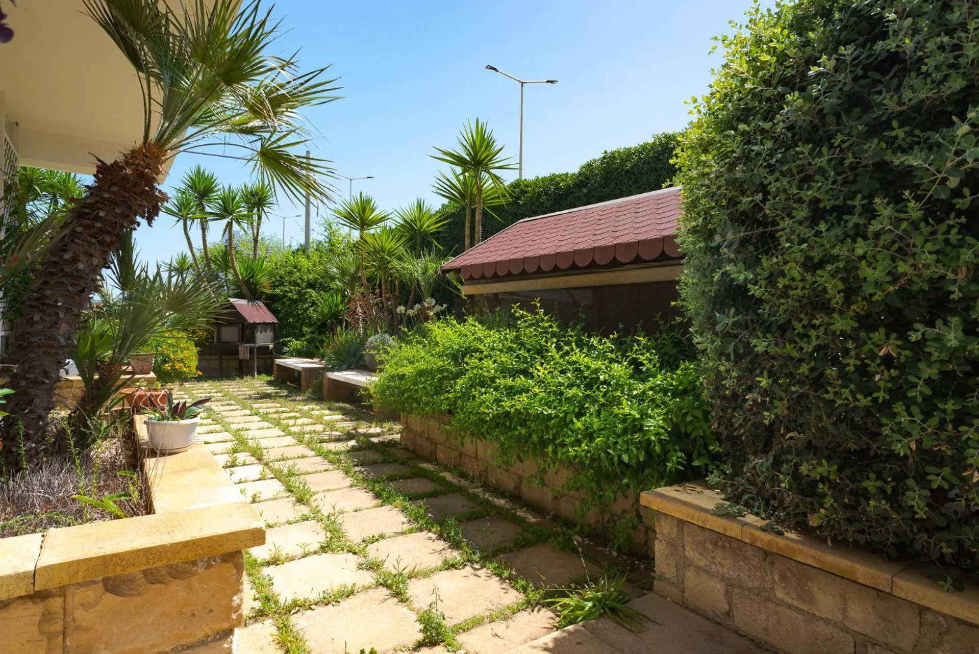 Garden in Hotel Jonio