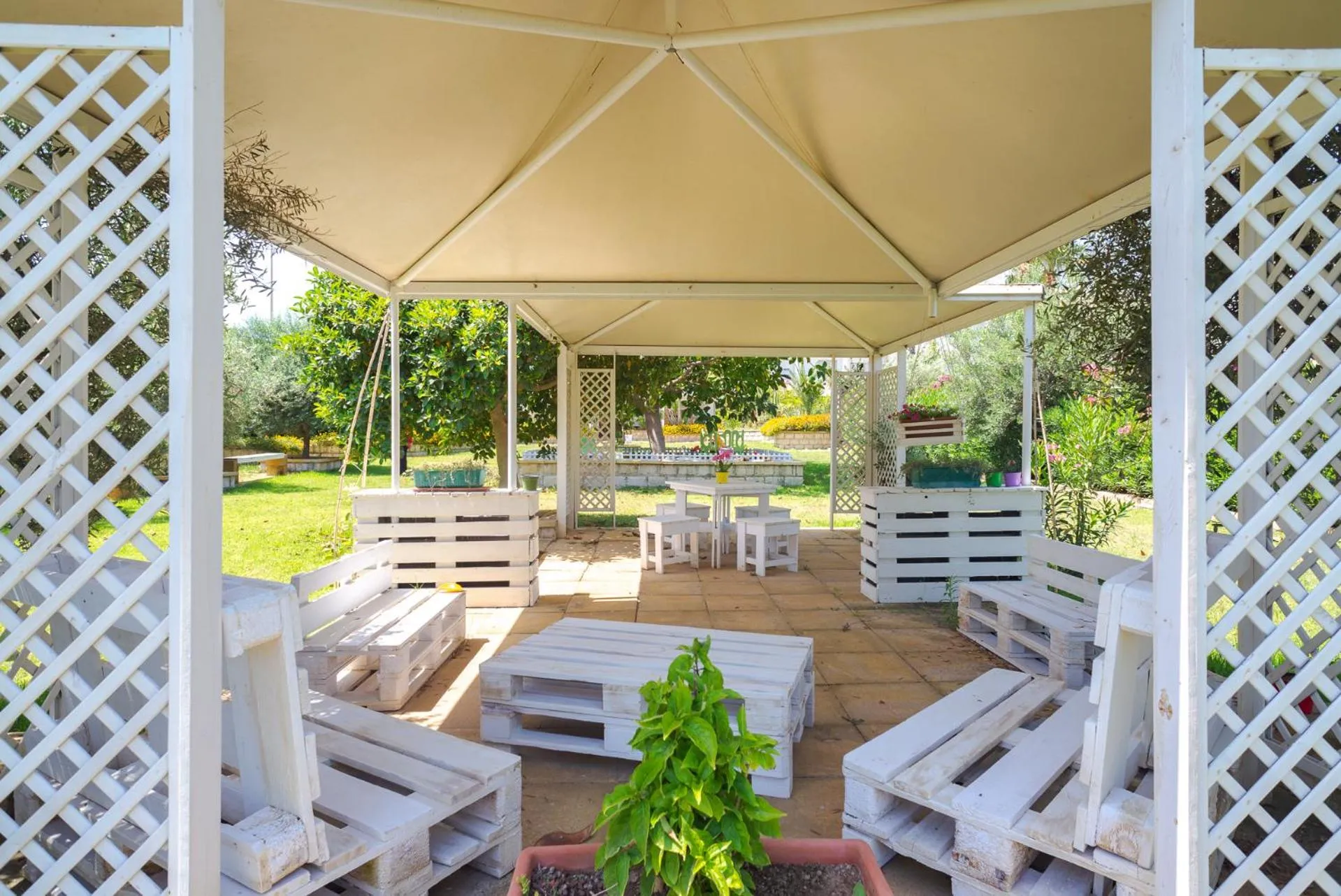 Garden in Hotel Jonio