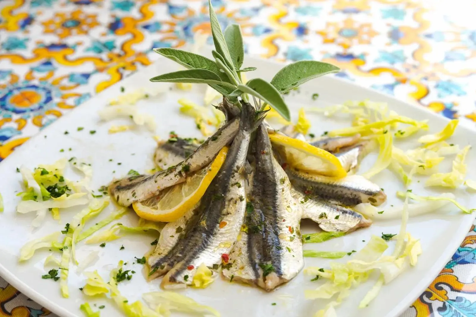 Restaurant/places to eat in Hotel Jonio