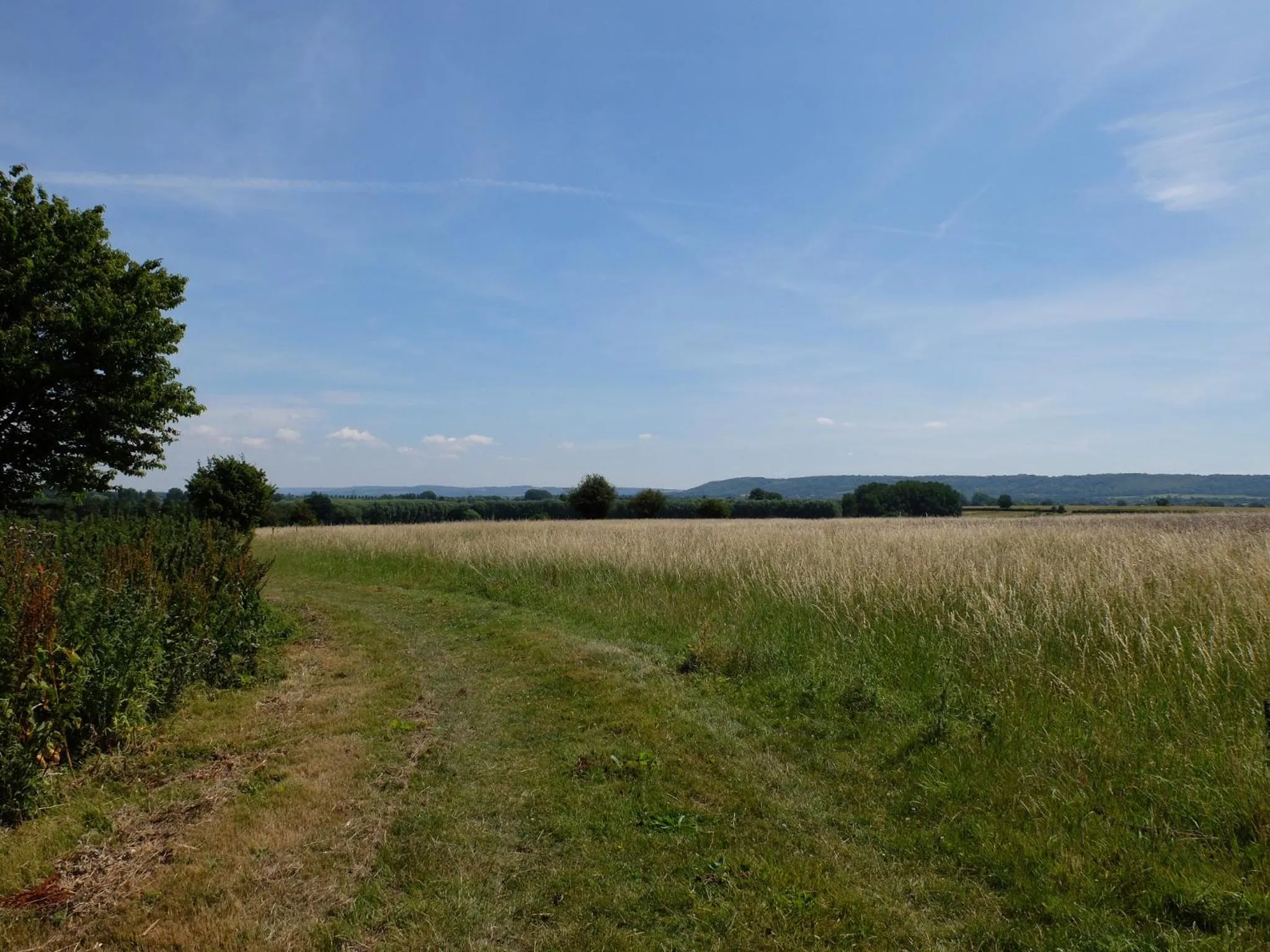 Natural landscape in The Thatched Barn