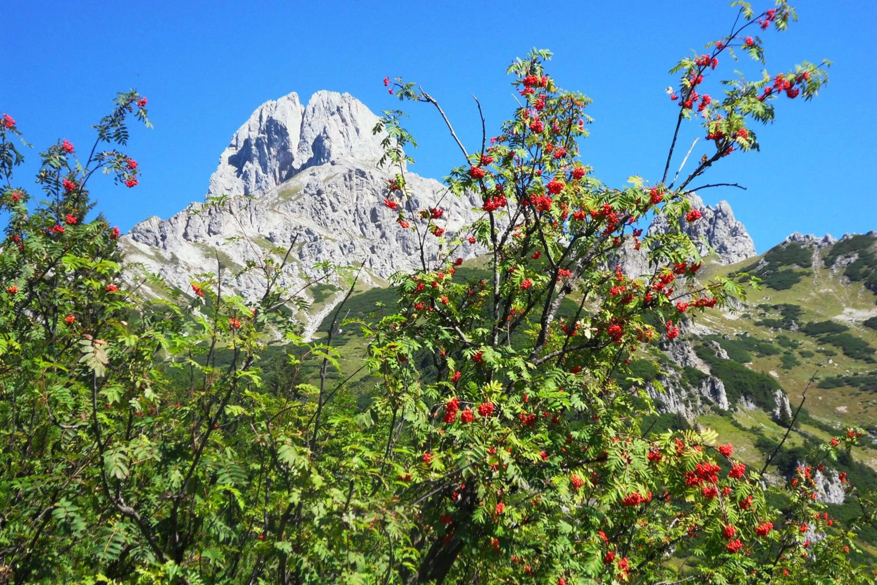 Natural landscape in Ferienhaus Abendstille