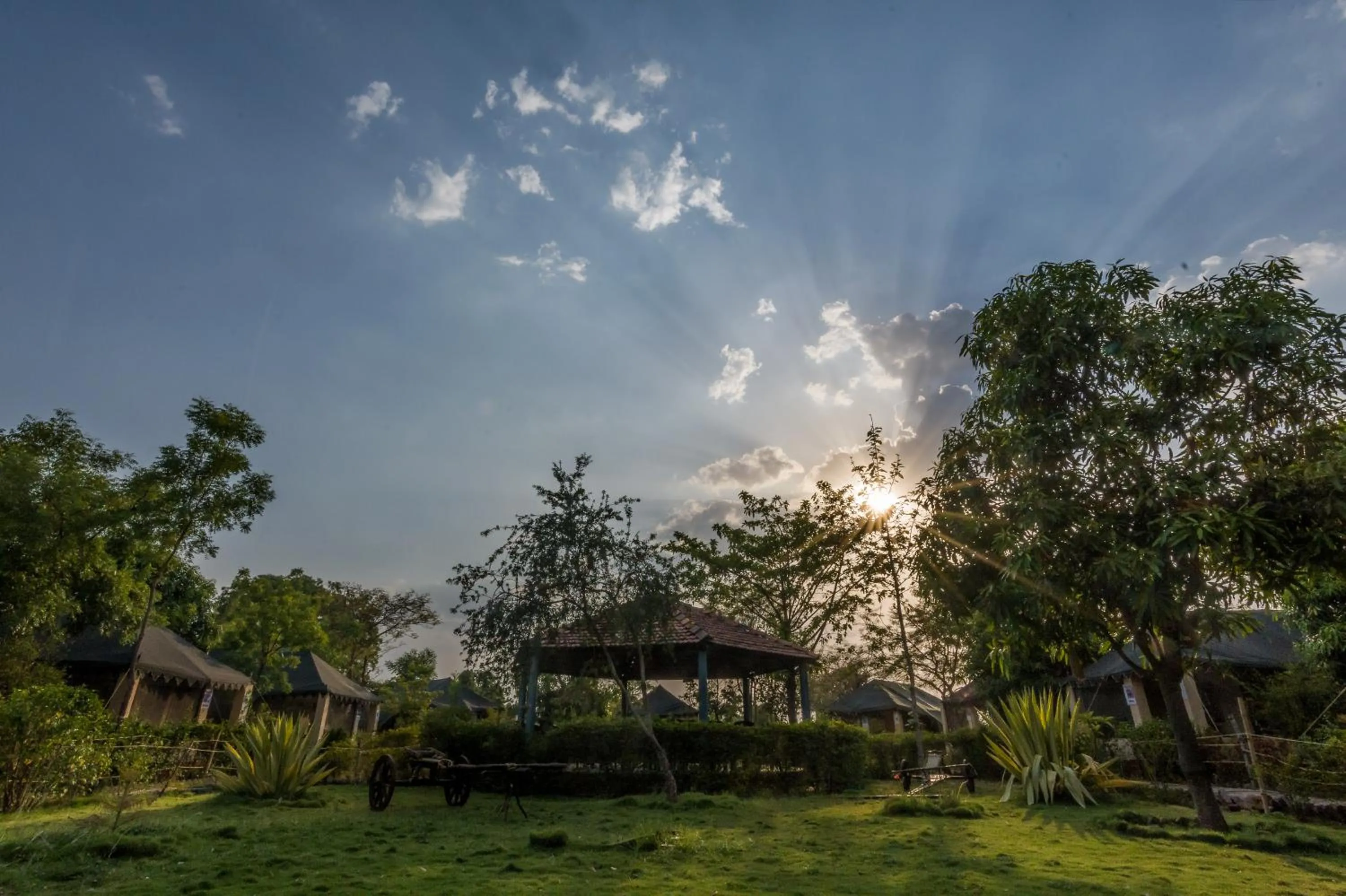 Camp Serai Tiger TADOBA