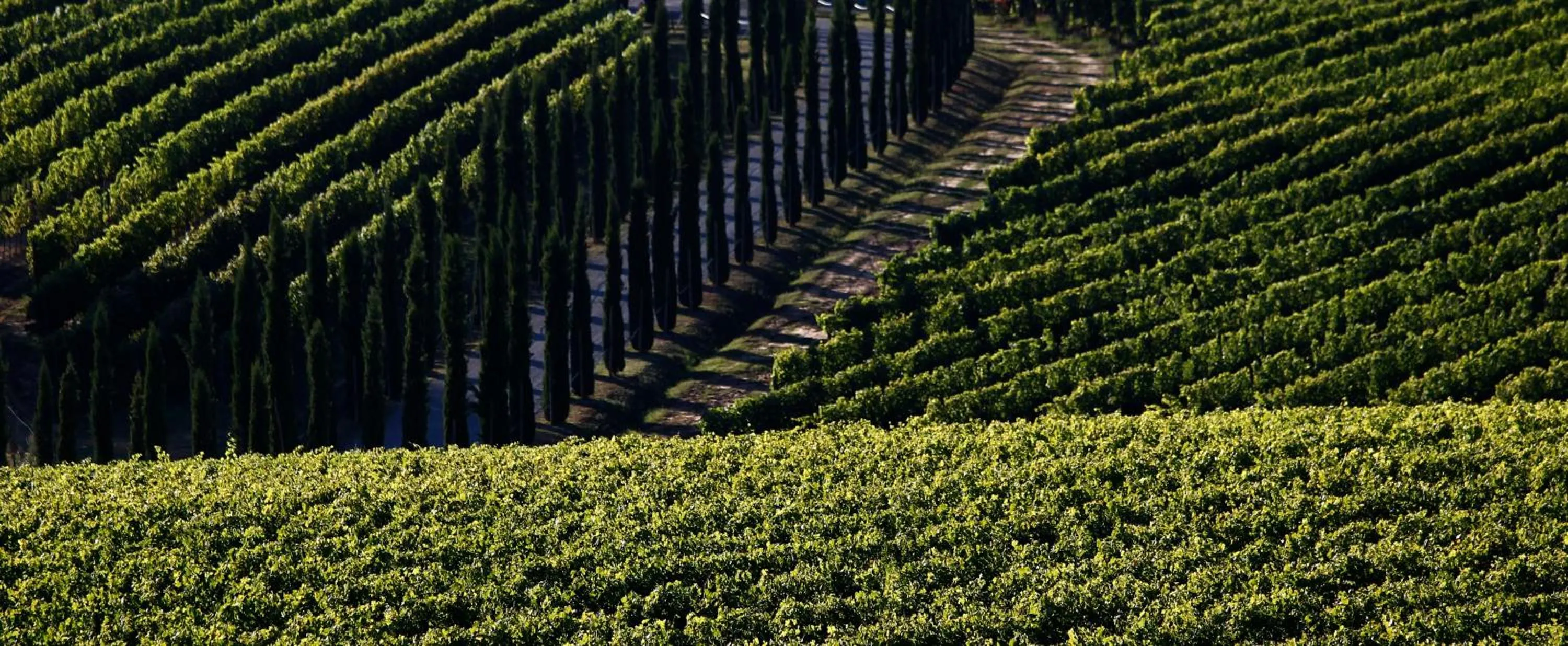 Poggio al Casone