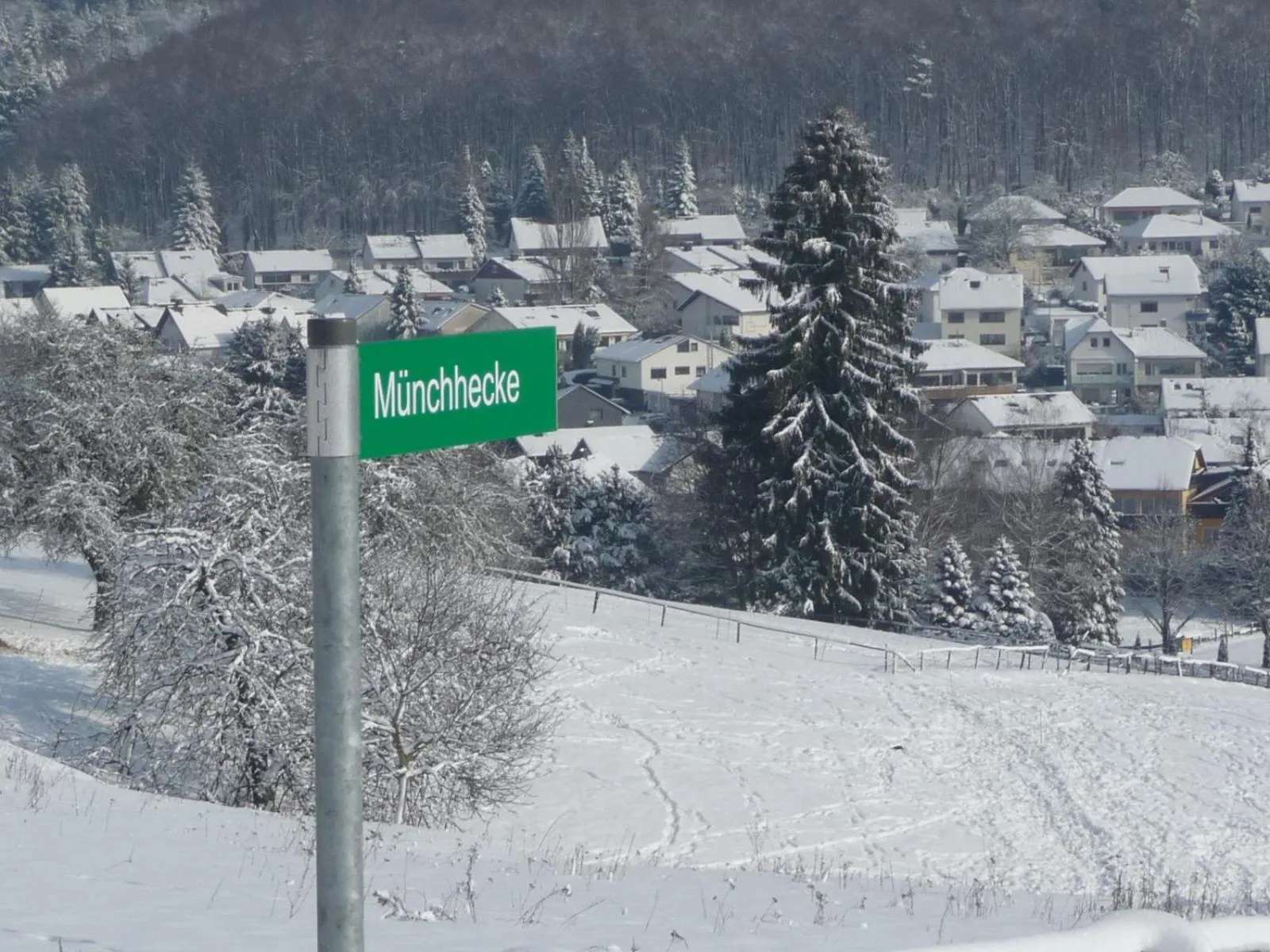 Natural landscape in Haus Weschke