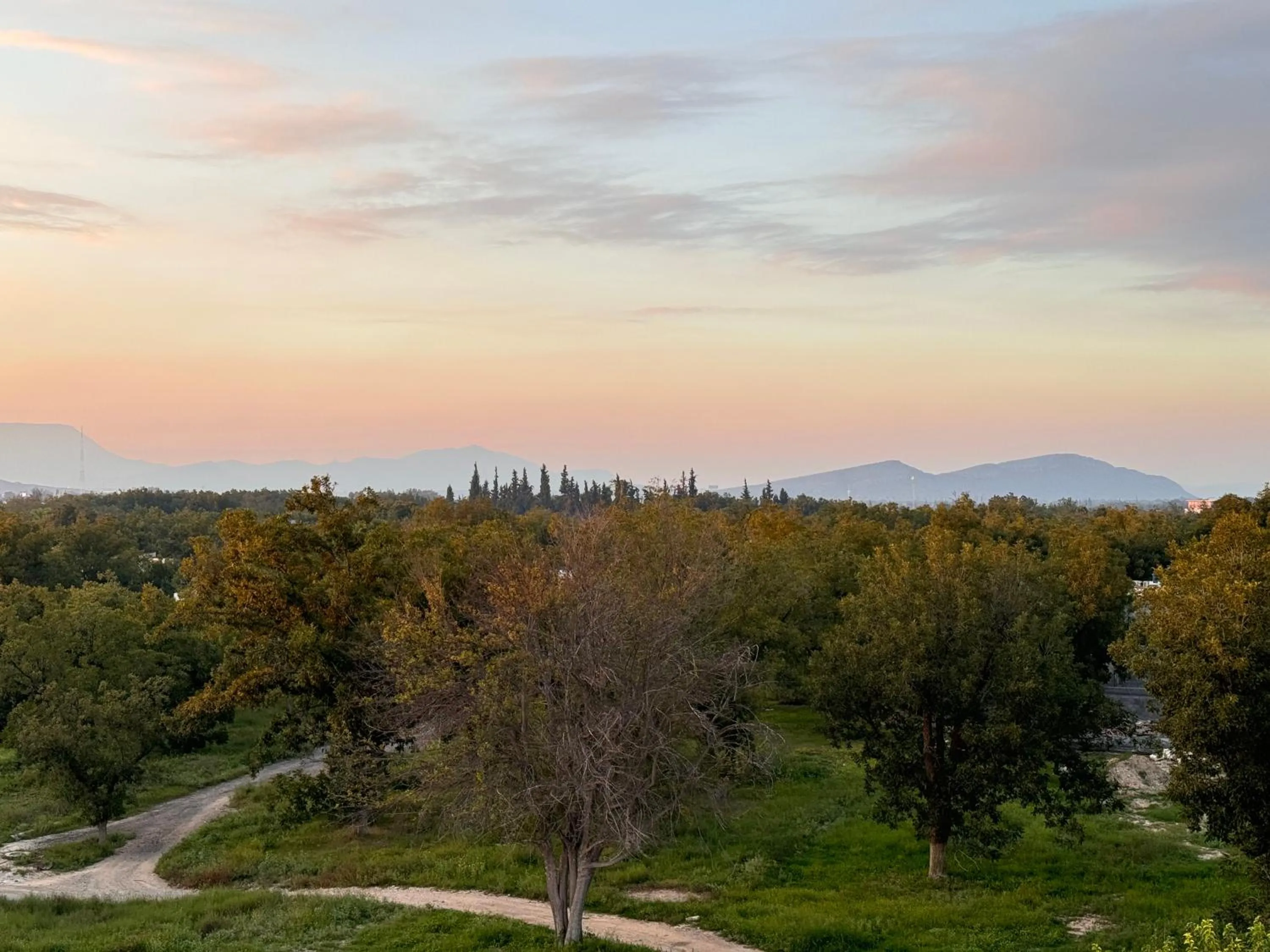 View (from property/room) in Hotel Nuvo