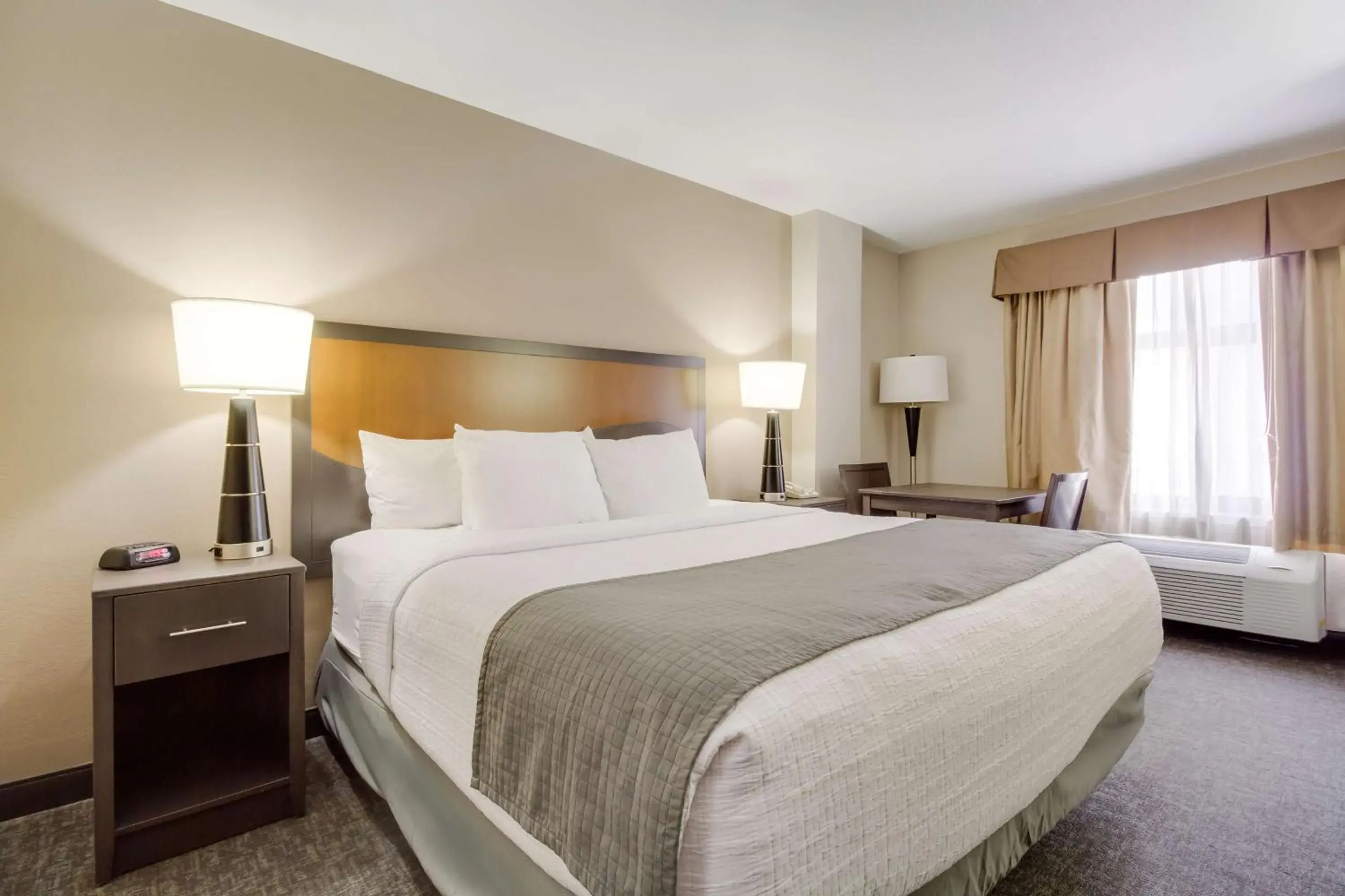 King Room with Roll-In Shower - Disability Access in SureStay Plus Hotel by Best Western Houston Medical Center King Room with Roll-In Shower - Disability Access in SureStay Plus Hotel by Best Western Houston Medical Center