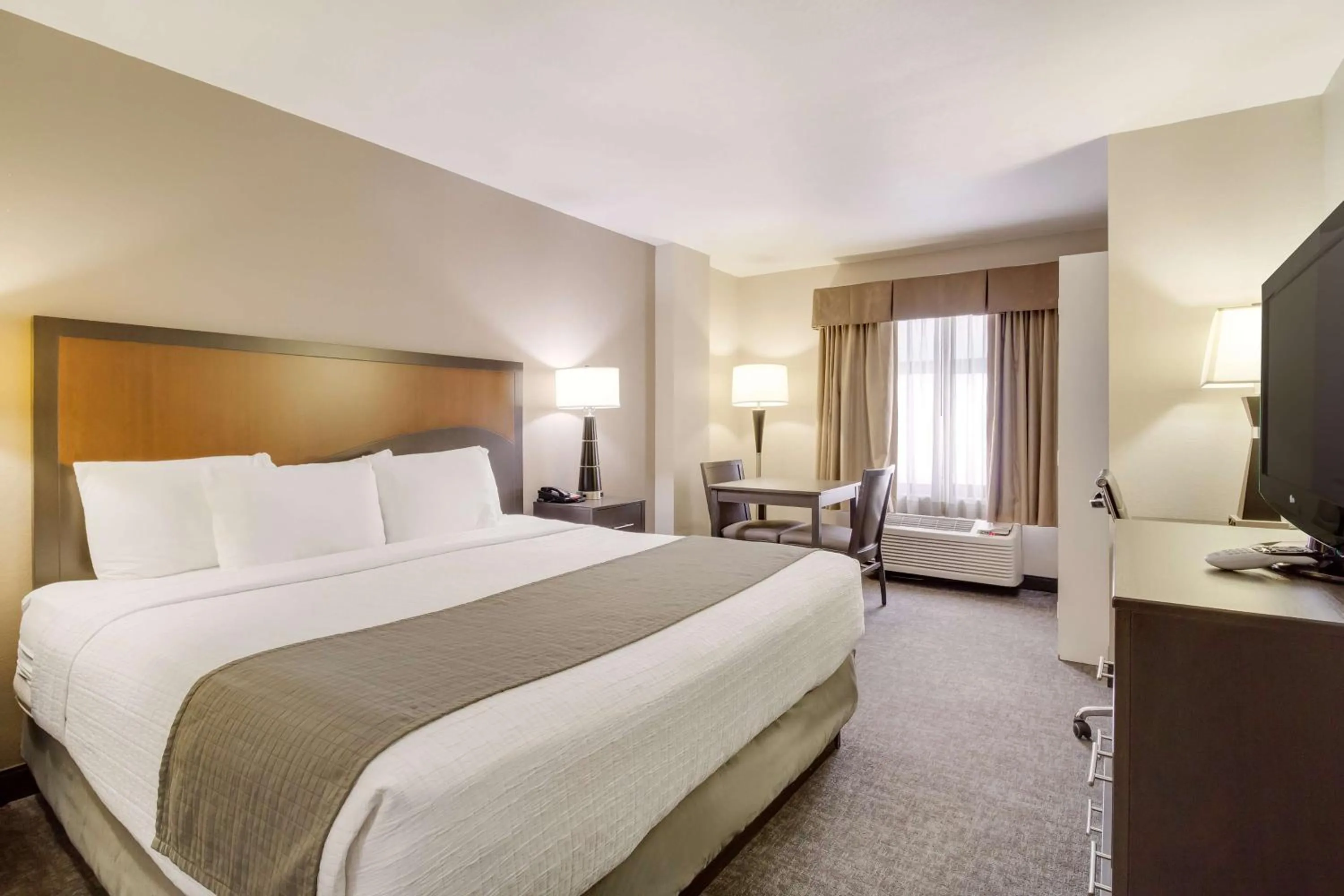 Bedroom in SureStay Plus Hotel by Best Western Houston Medical Center