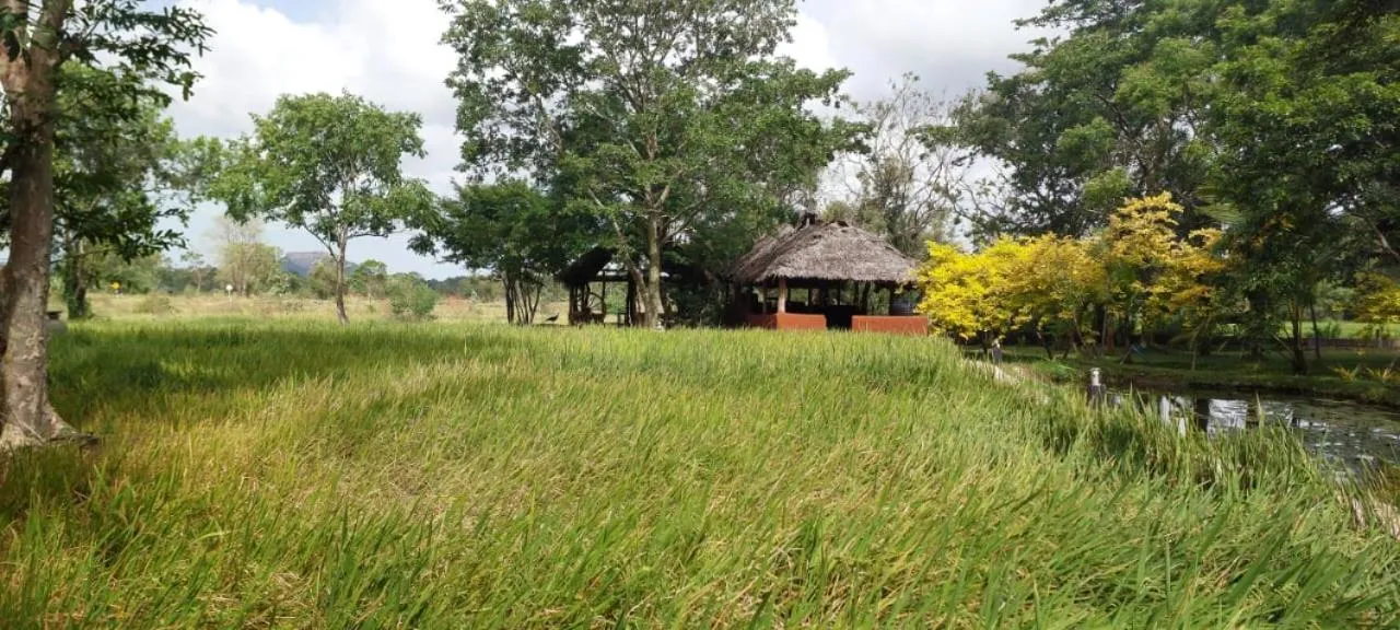 Property building in Kassapa Lions Rock