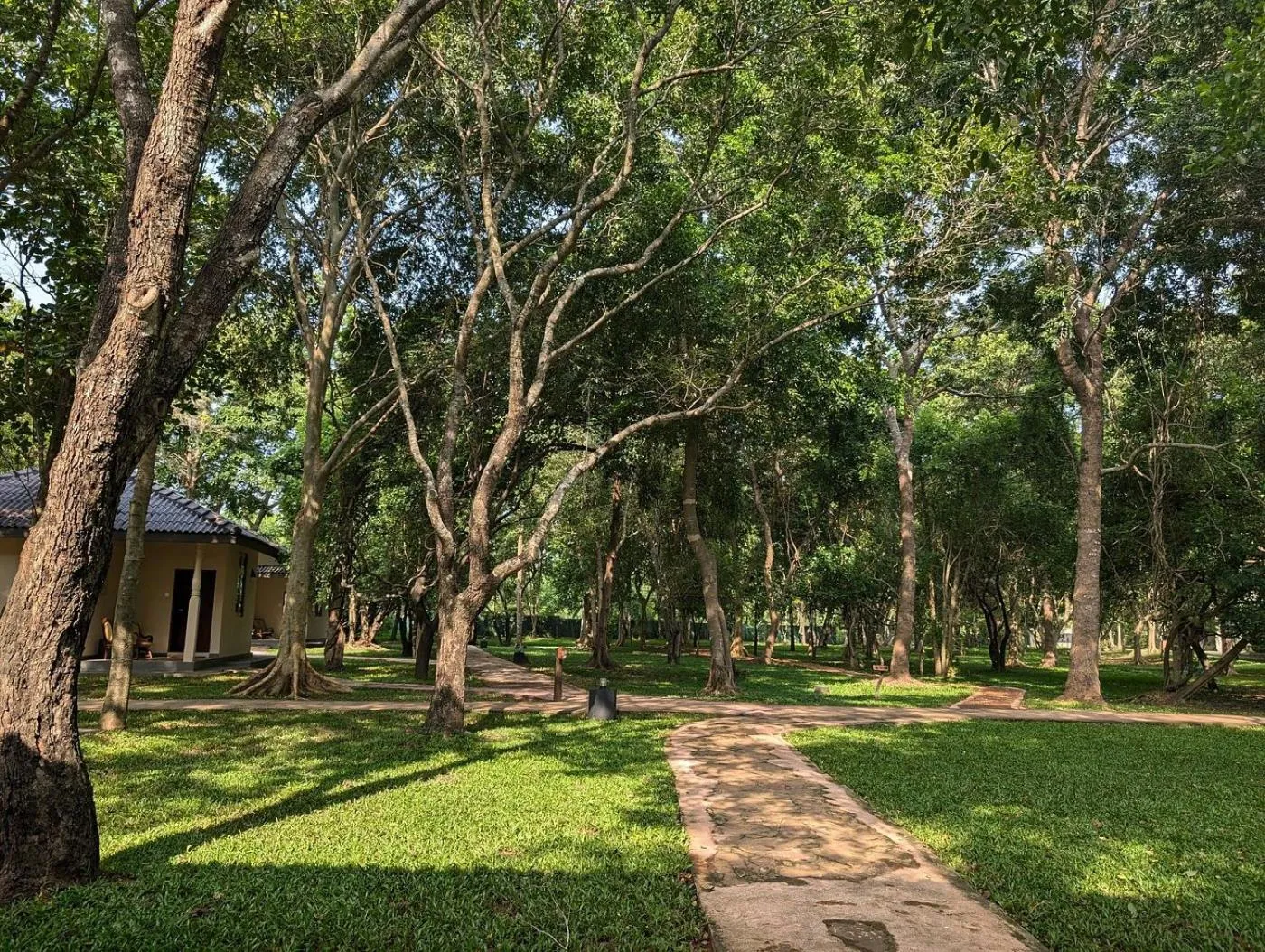 Property building in Kassapa Lions Rock