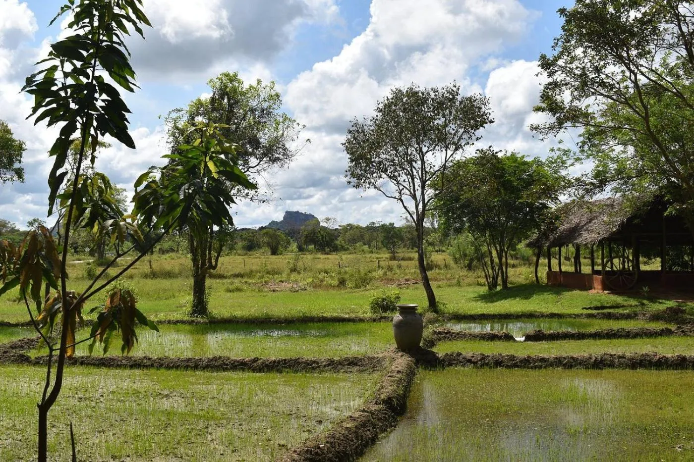 Day in Kassapa Lions Rock
