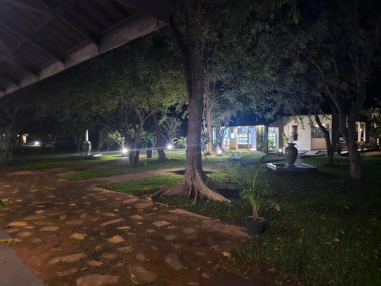 Night in Kassapa Lions Rock