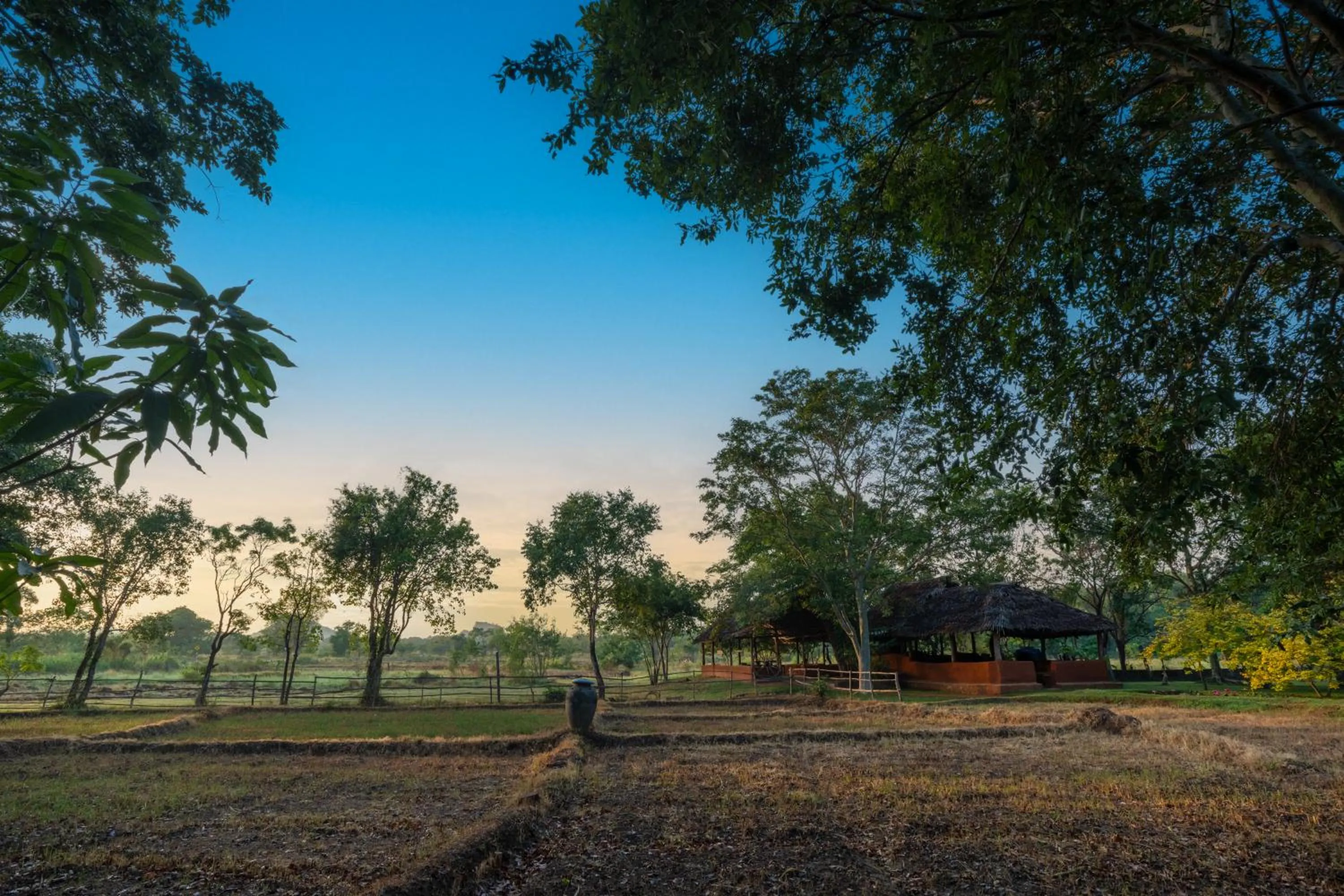 Natural landscape in Kassapa Lions Rock