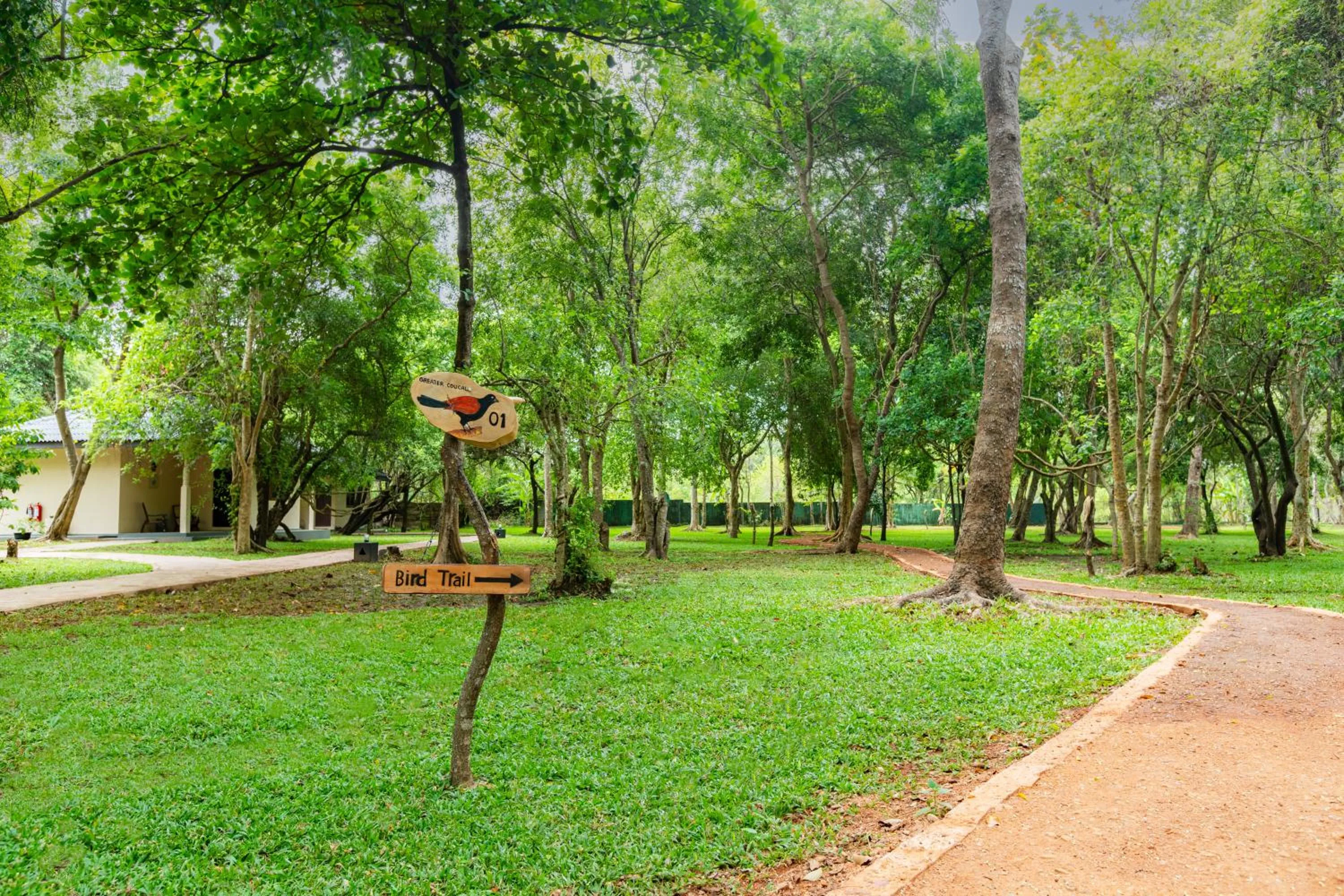 Natural landscape in Kassapa Lions Rock